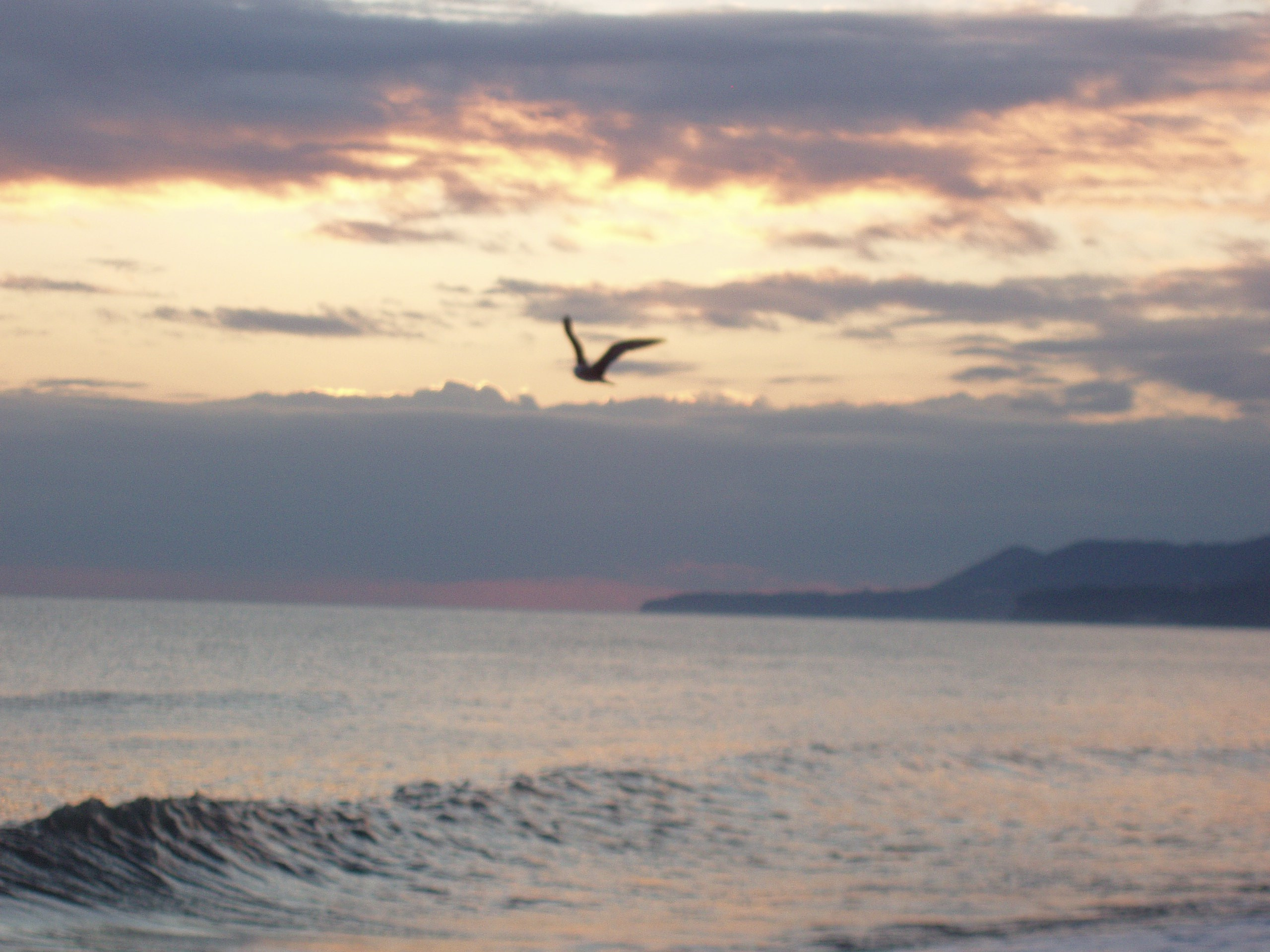 Отпуск 28.07-17.08. Семейный, Свадебный фотограф СПБ Питер— Романова Екатерина