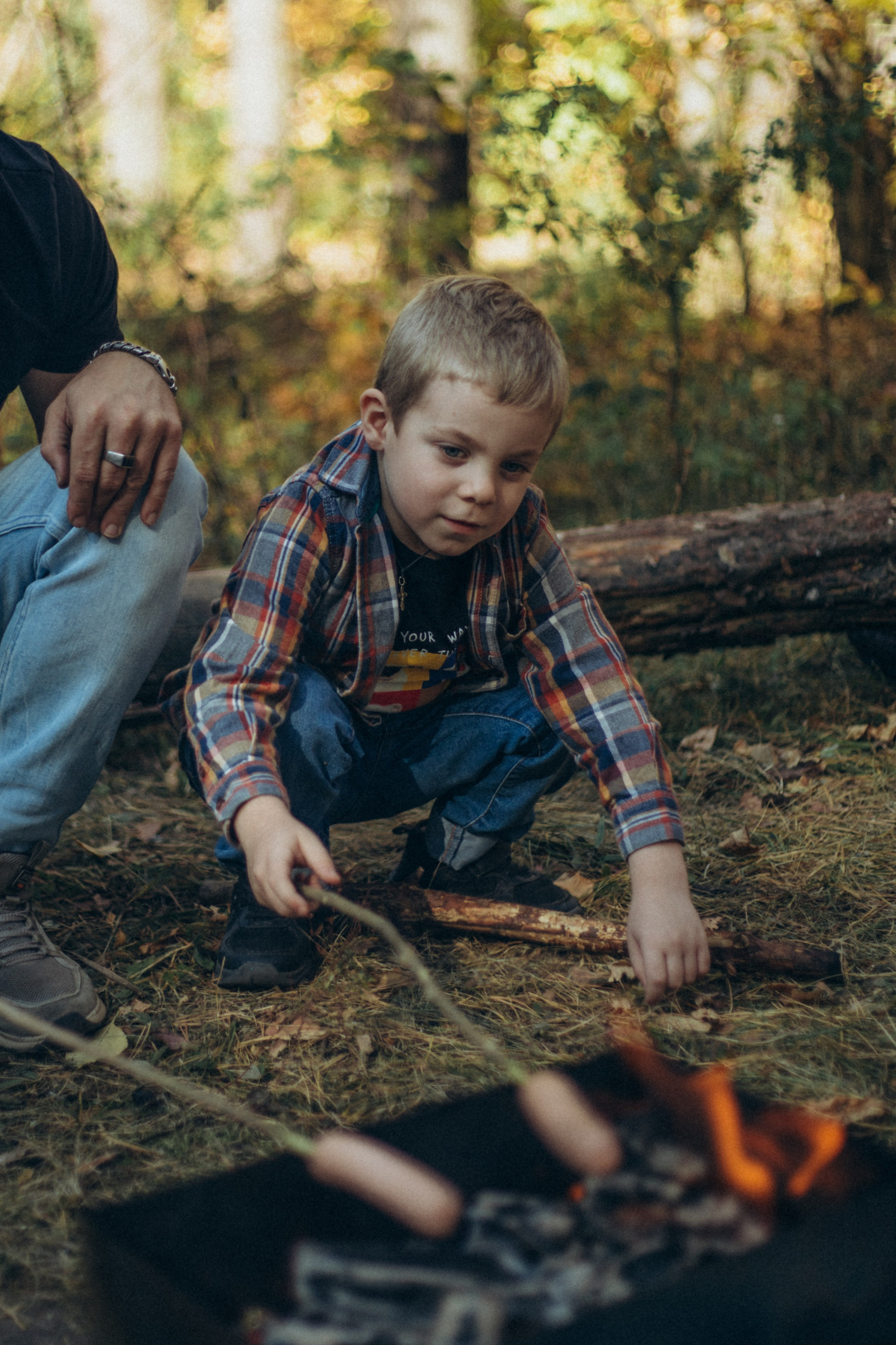 Лес. Семейный и репортажный фотограф в Орле