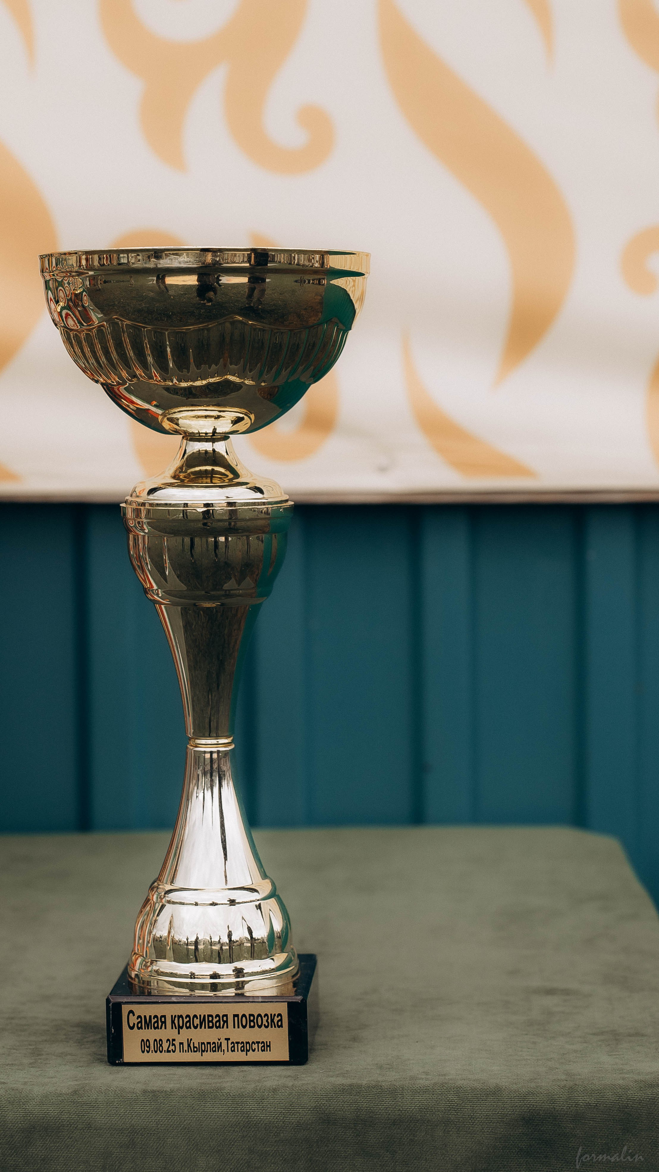 День Коня. Алиса Никитцова | Фотограф в Казани