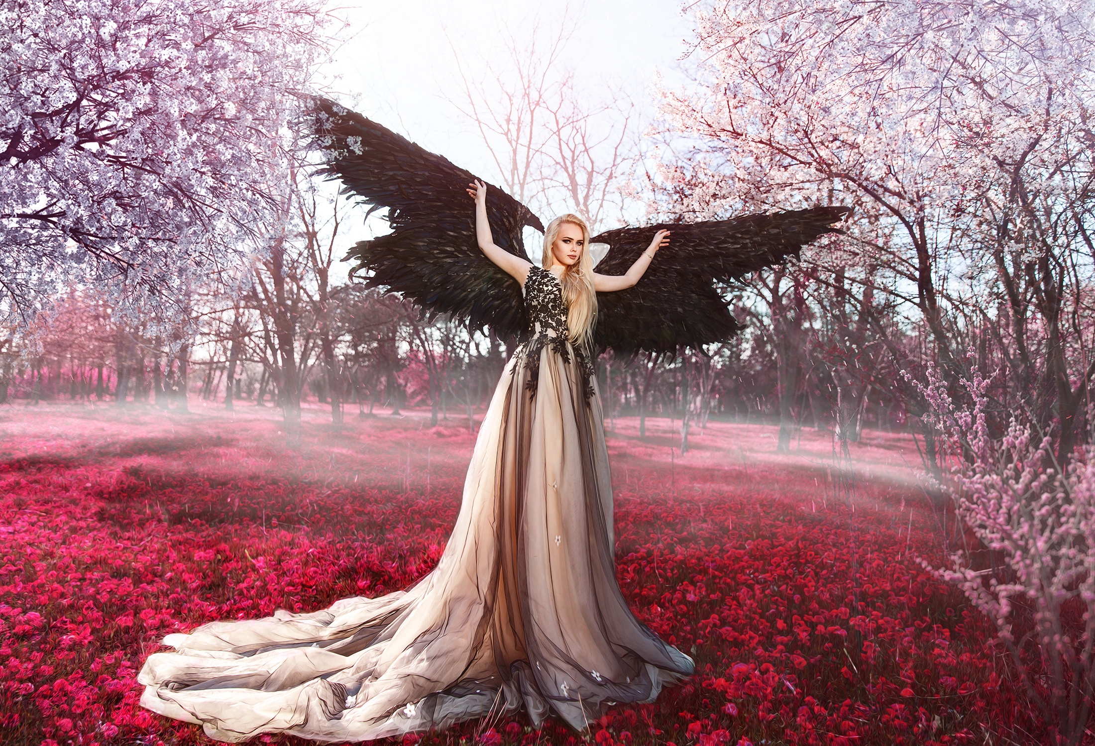 Renatphoto-Модные фотосессии  в студии  для журналов. Профессиональная фотосъёмка интерьеров, предметная фотосессия еды для меню г. Анапа