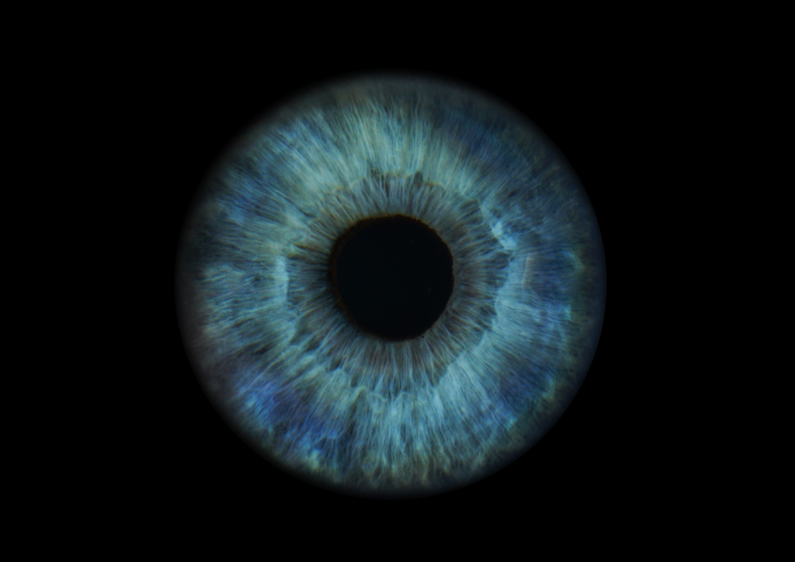 Дарья 11021640. ShowLab