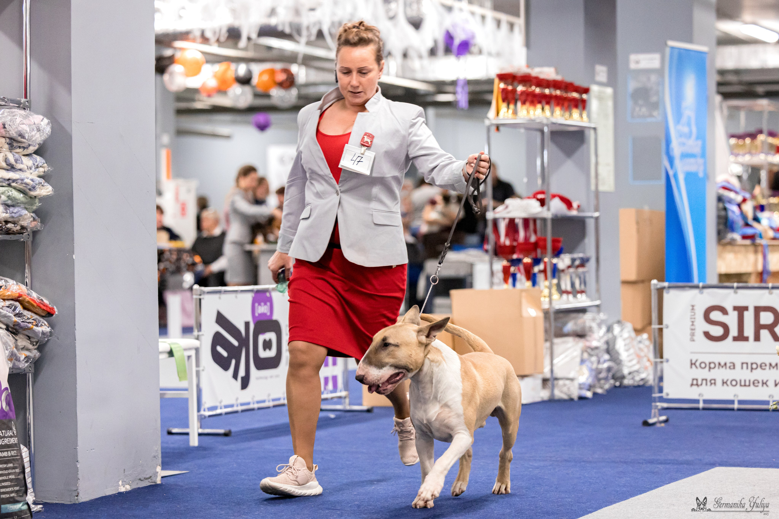 Сфера 29.10,Крокус 4.11,Сфера 12.11.2023. Фотограф-анималист Юлия Германика