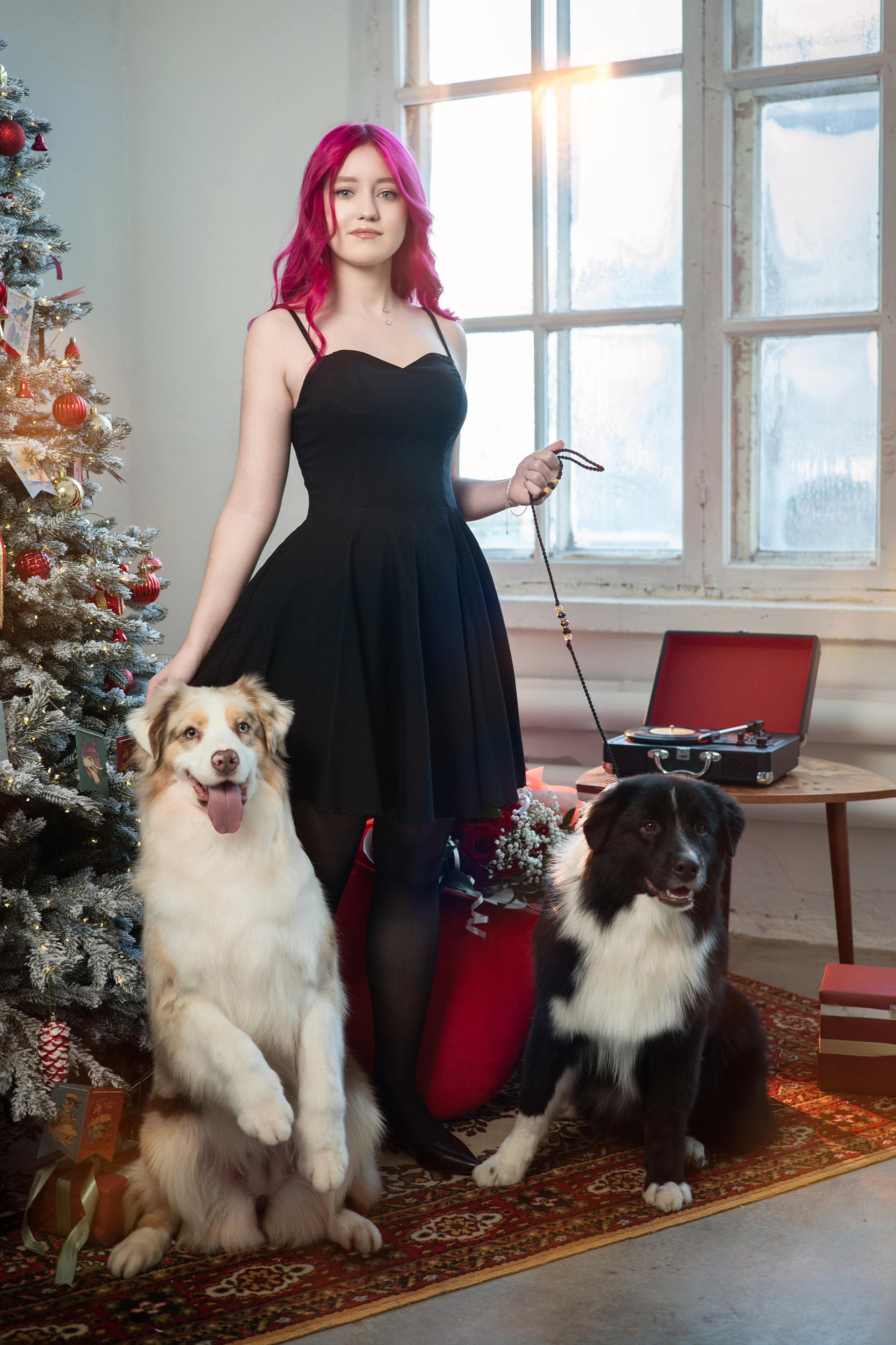 Фотодень с Австралийской овчаркой. Творческий фотограф Вологда