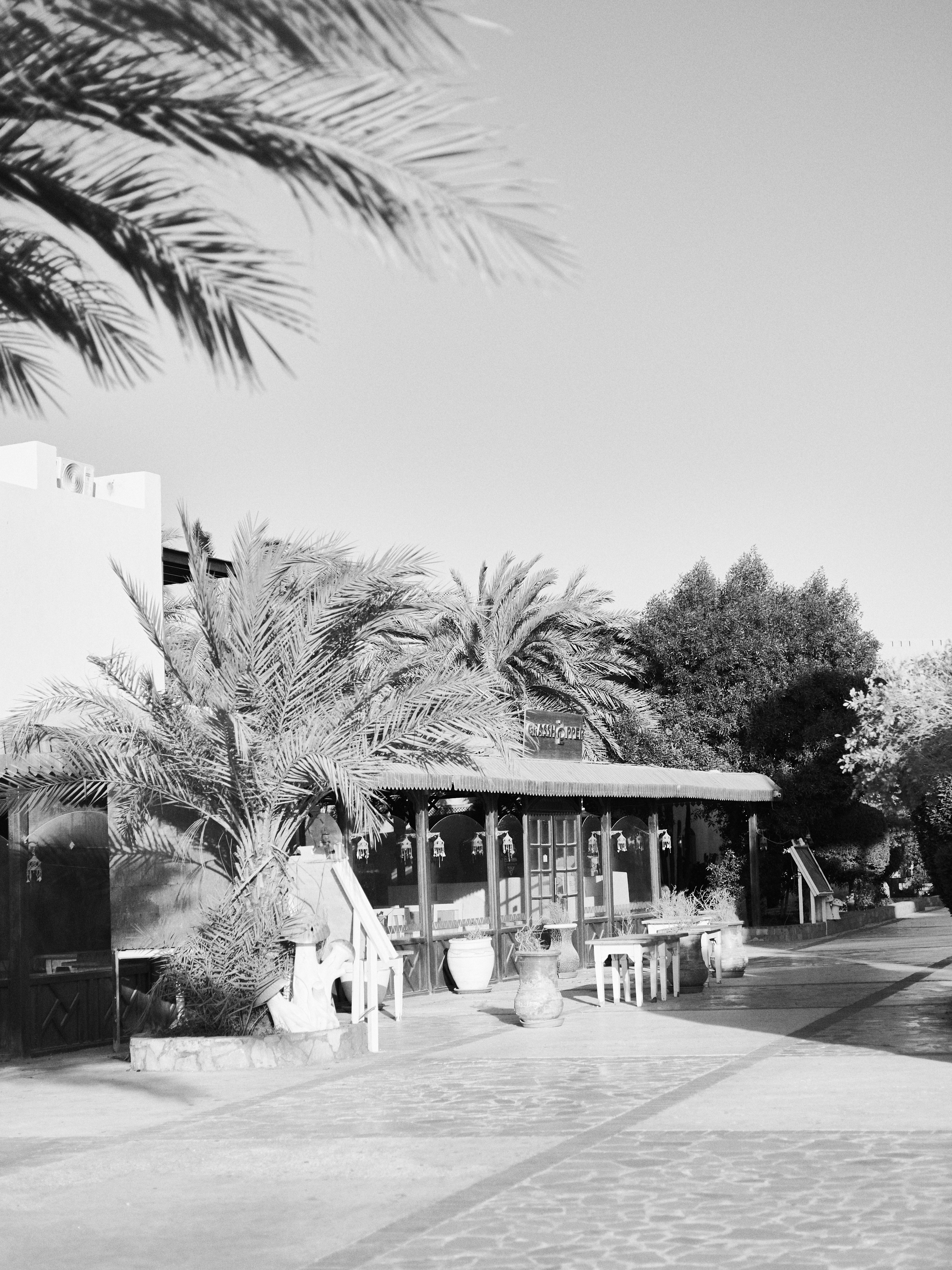 Другое 3. Jorgis Talè — photographer, kind person, teacher of arts and other mag