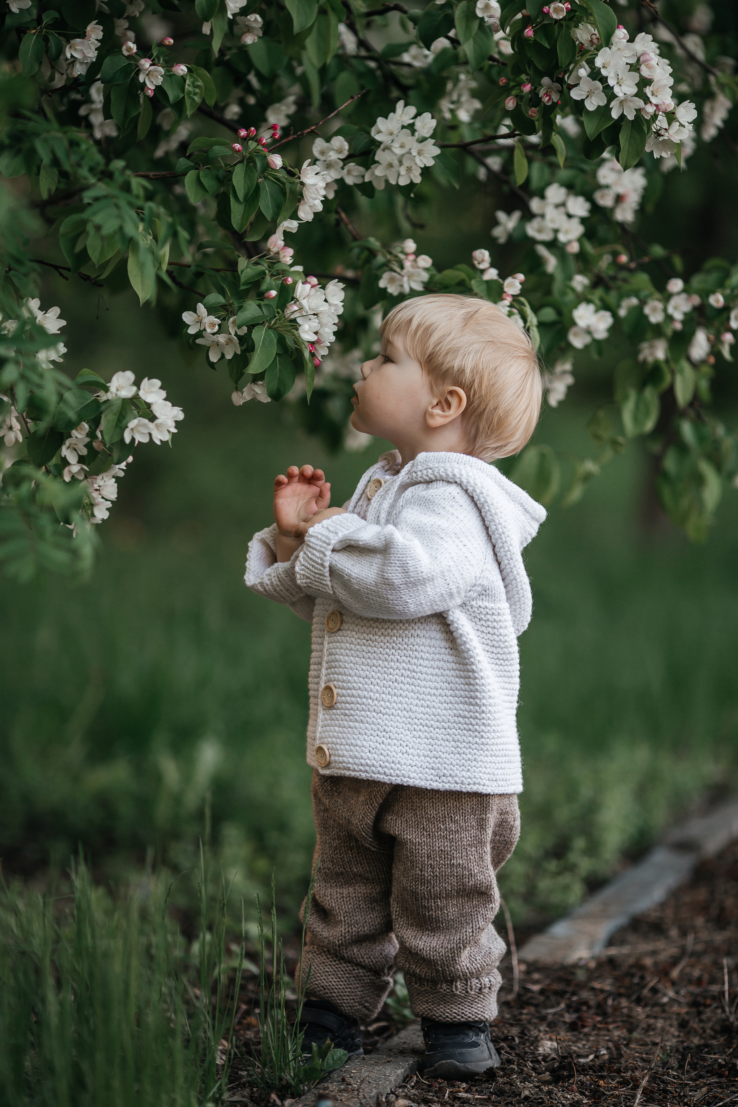 Семейная фотосессия в яблонях Бийск. Дарья Белякова. Свадебный, детский и семейный фотограф в городе Бийск
