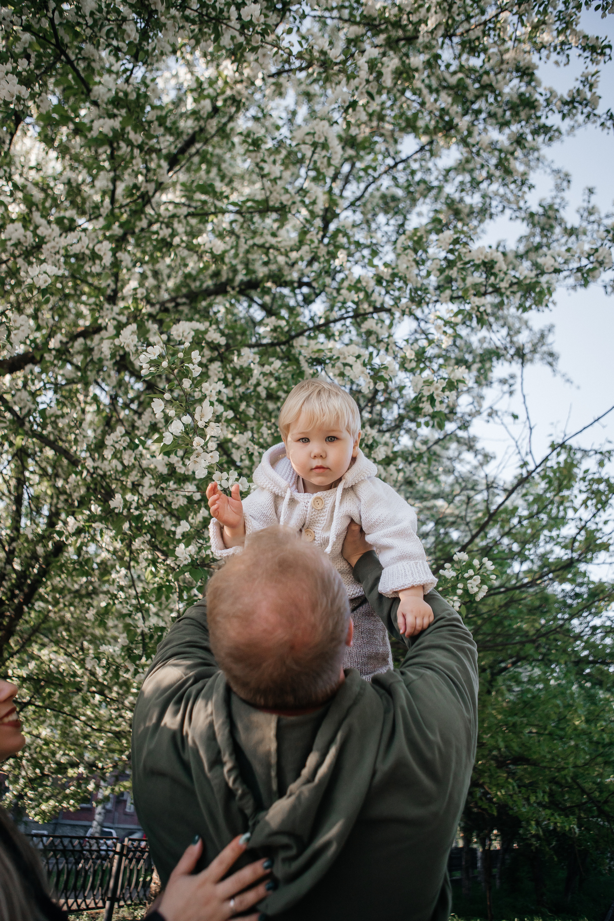 Семейная фотосессия в яблонях Бийск. Дарья Белякова. Свадебный, детский и семейный фотограф в городе Бийск