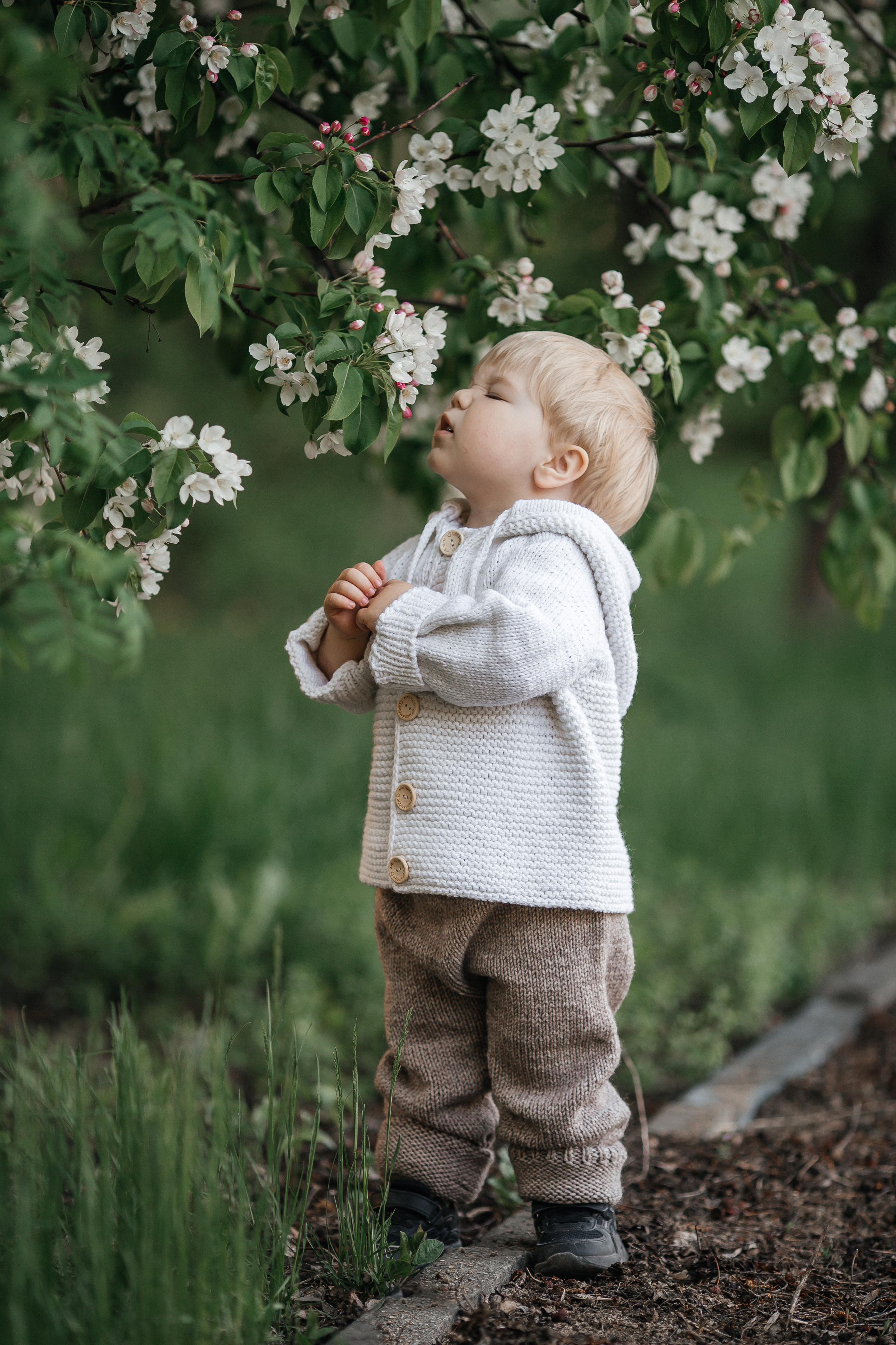 Семейная фотосессия в яблонях Бийск. Дарья Белякова. Свадебный, детский и семейный фотограф в городе Бийск