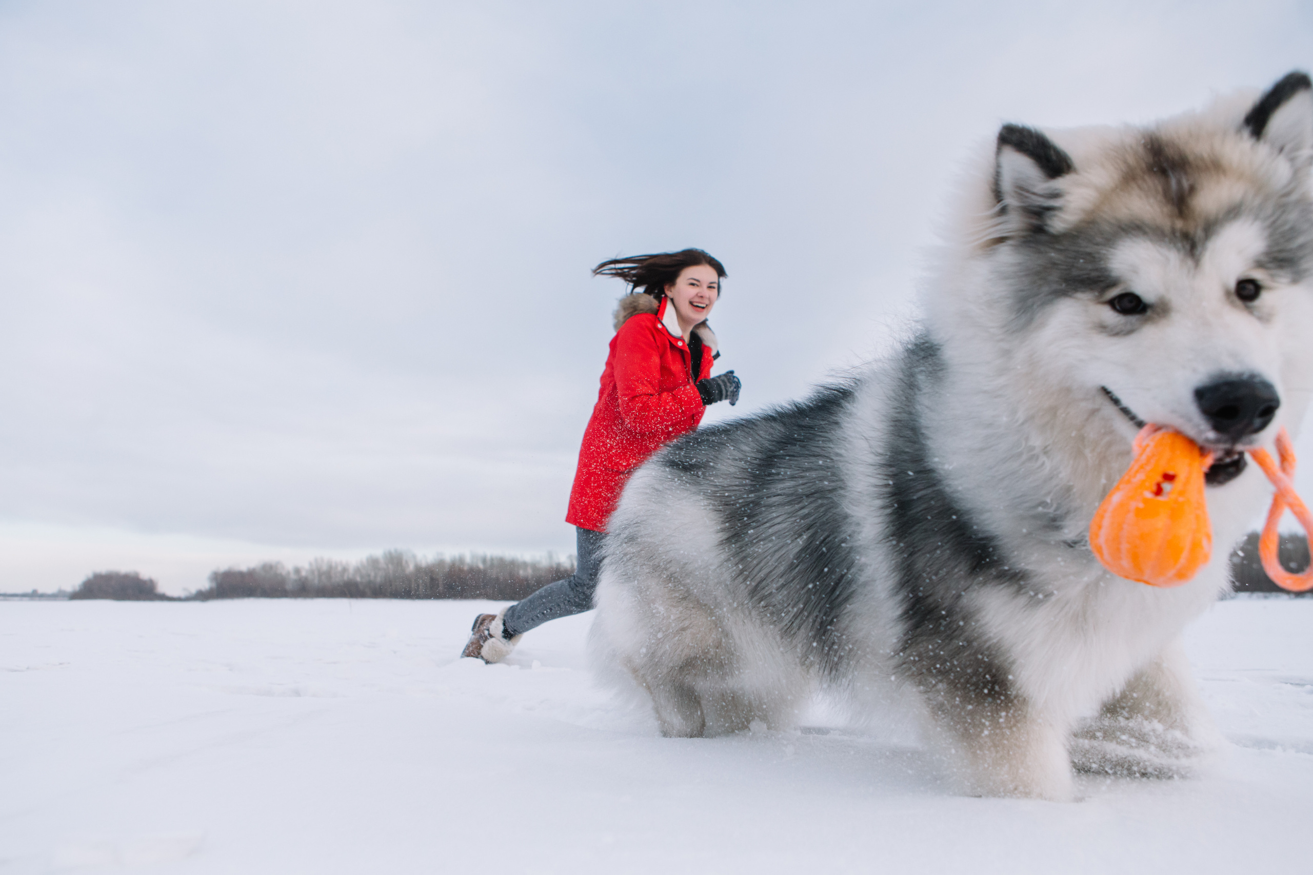 Дарья Белякова. Свадебный, детский и семейный фотограф в городе Бийск