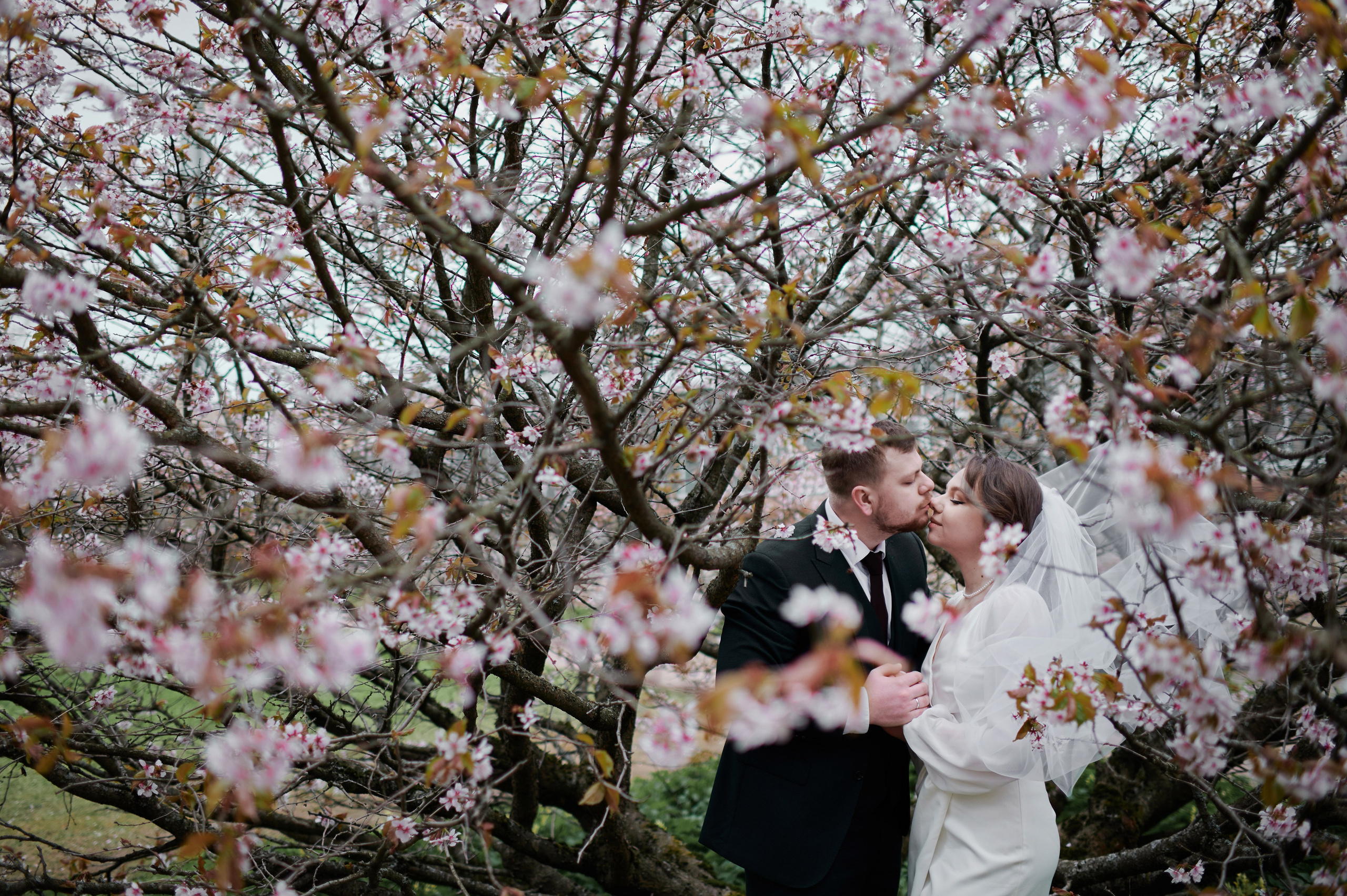 TOP-500 Самые красивые и лучшие свадебные фотографии от профессионального свадебного фотографа в Санкт-Петербурге Ширяева Дениса. Портретный, семейный и свадебный фотограф в Санкт-Петербурге и в Пушкине Ширяев Денис