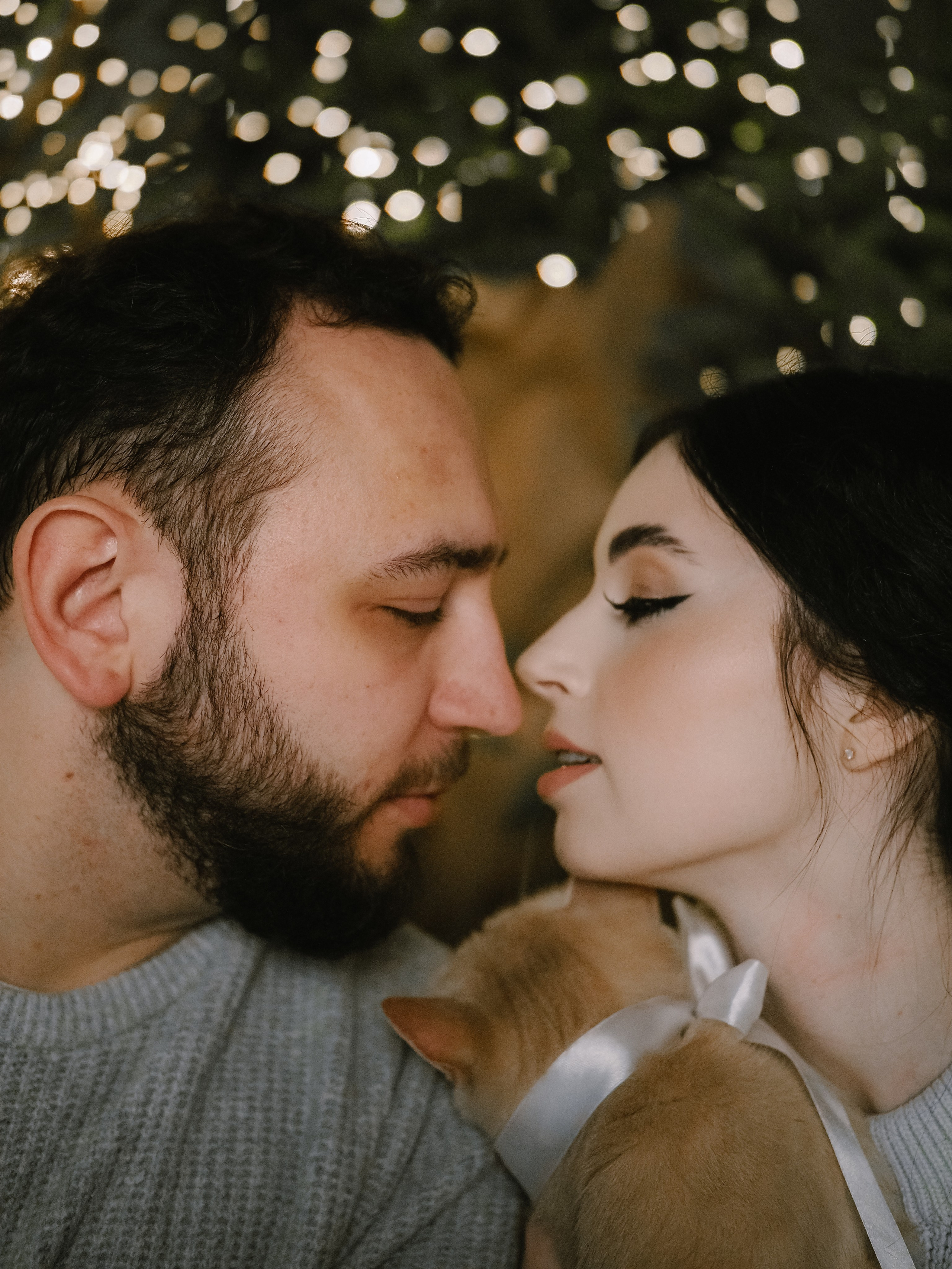 Mrrrr christmas. Фотограф Рязань. Семейный Свадебный фотограф