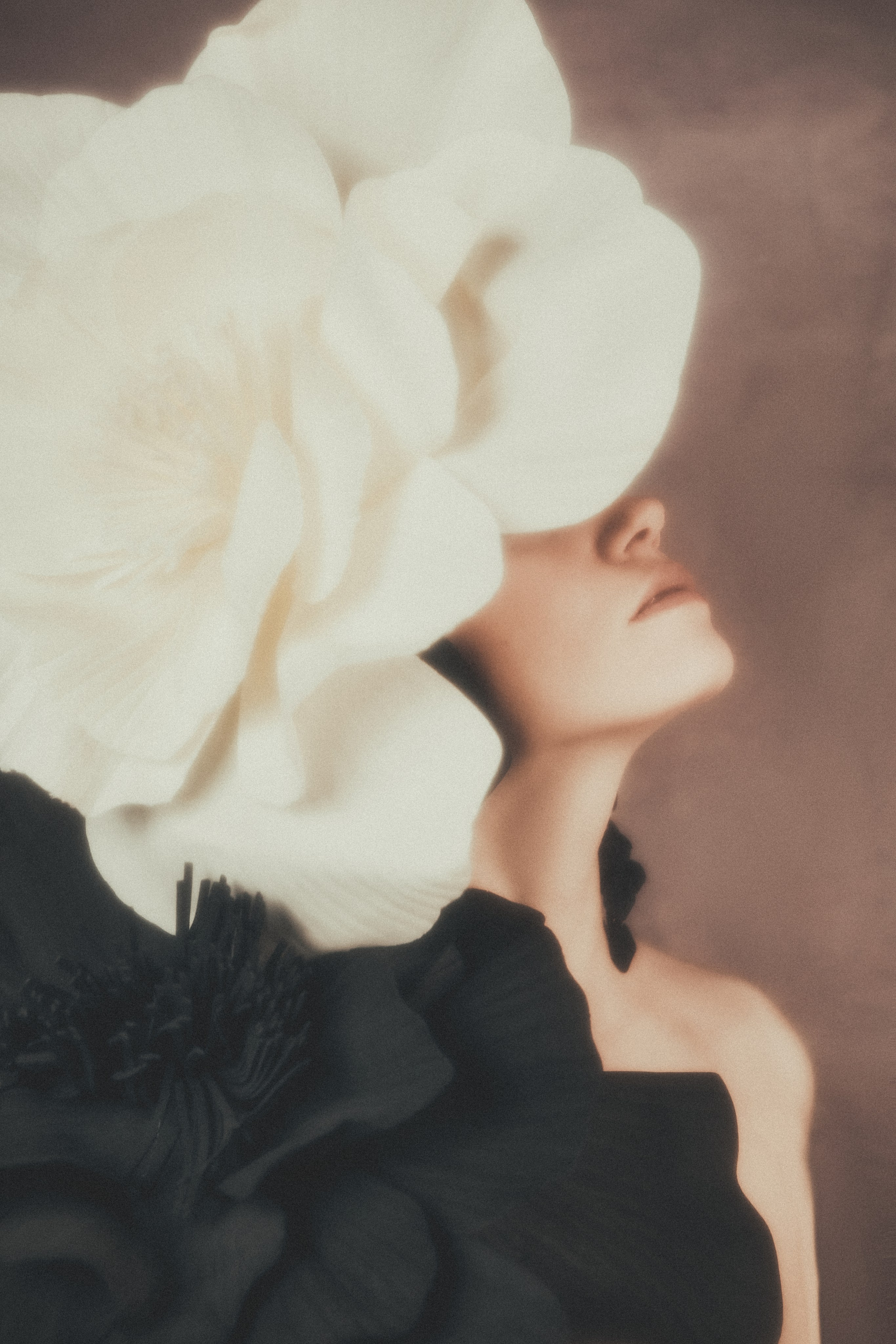 Flowers within. Fashion Photographer Oxana Chernomorets