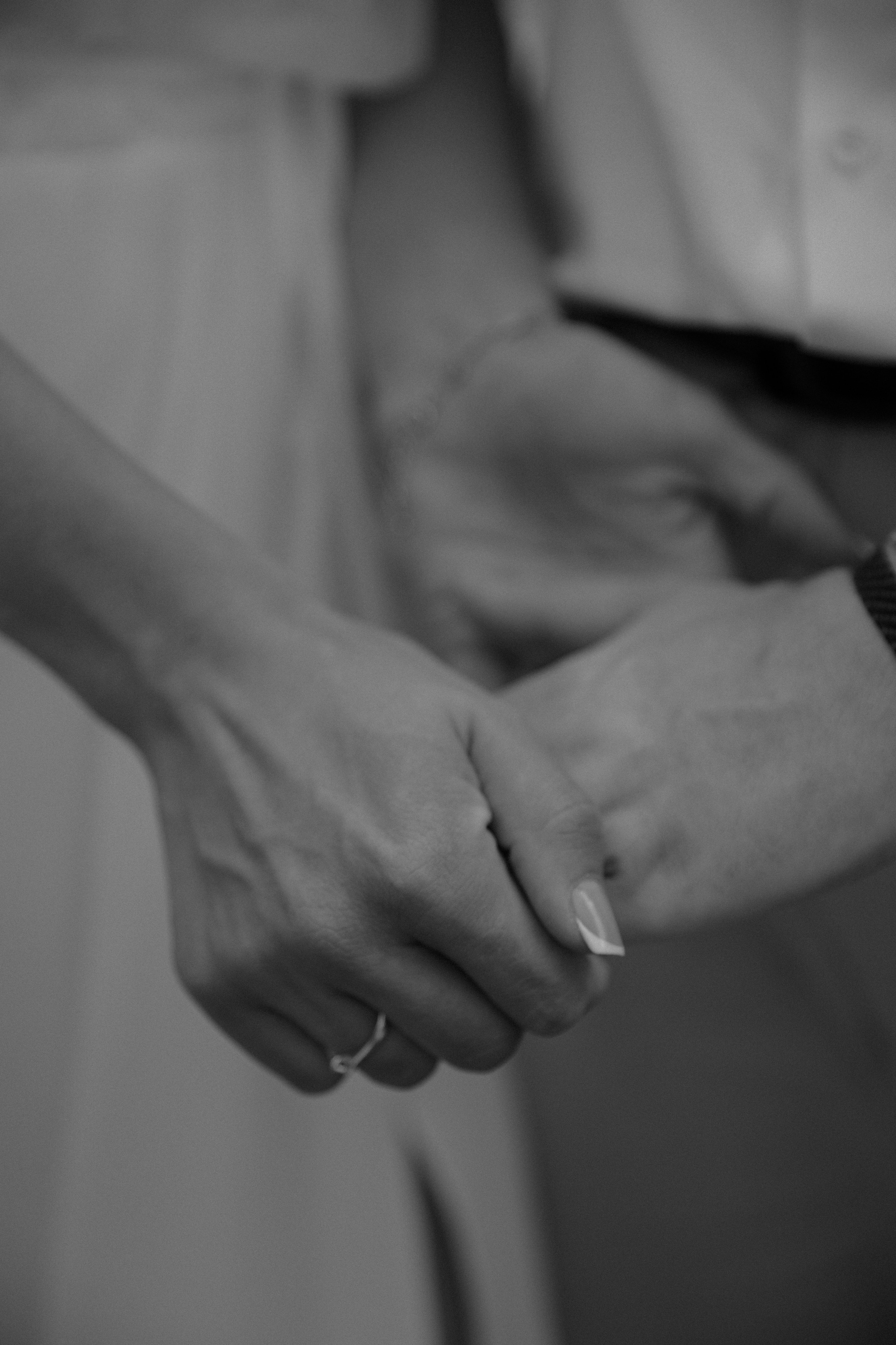 Виноградники. Dima Lemeshevsky