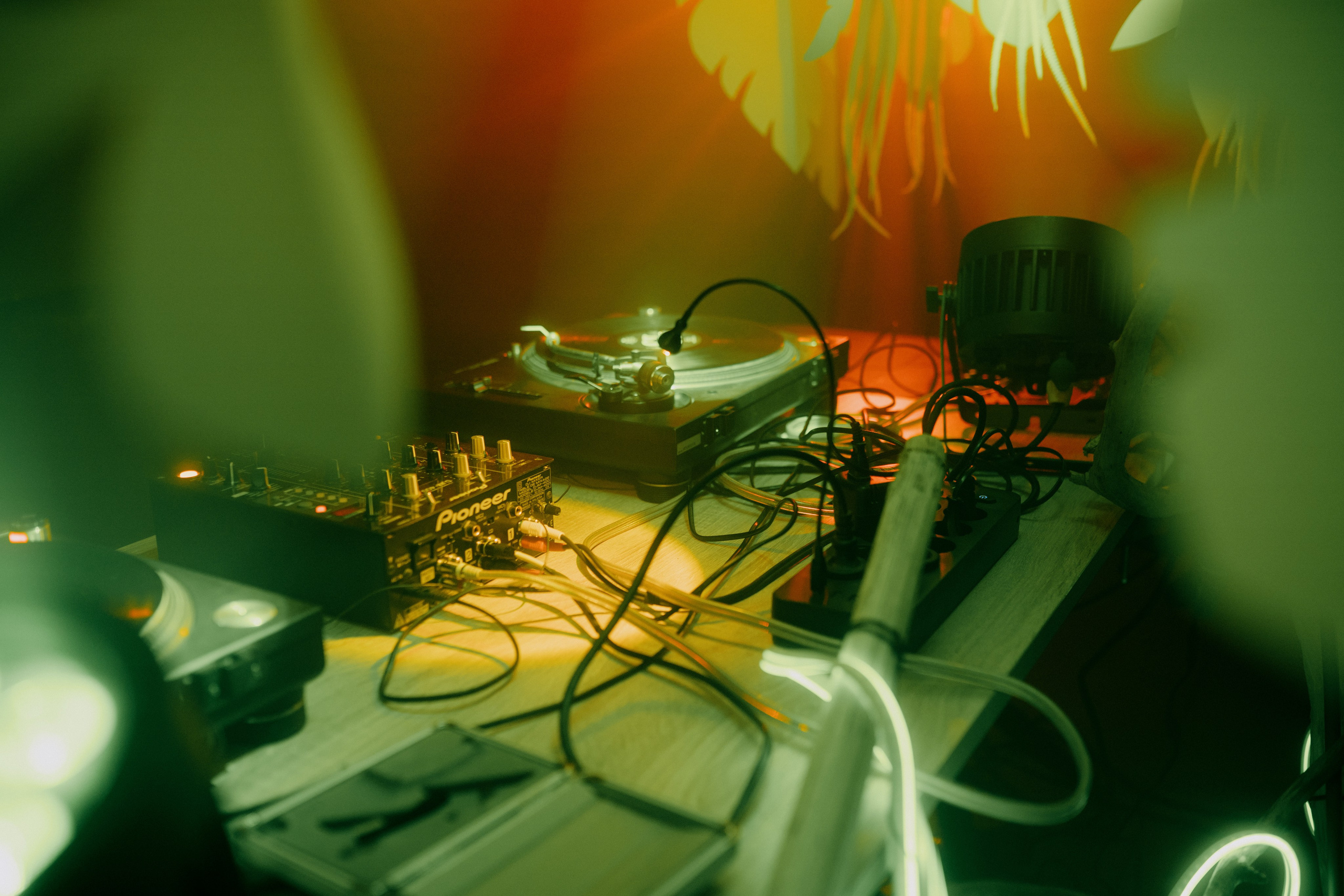 Кратная Звезда | JUNGLE WAVE. Фотограф Vika Rin