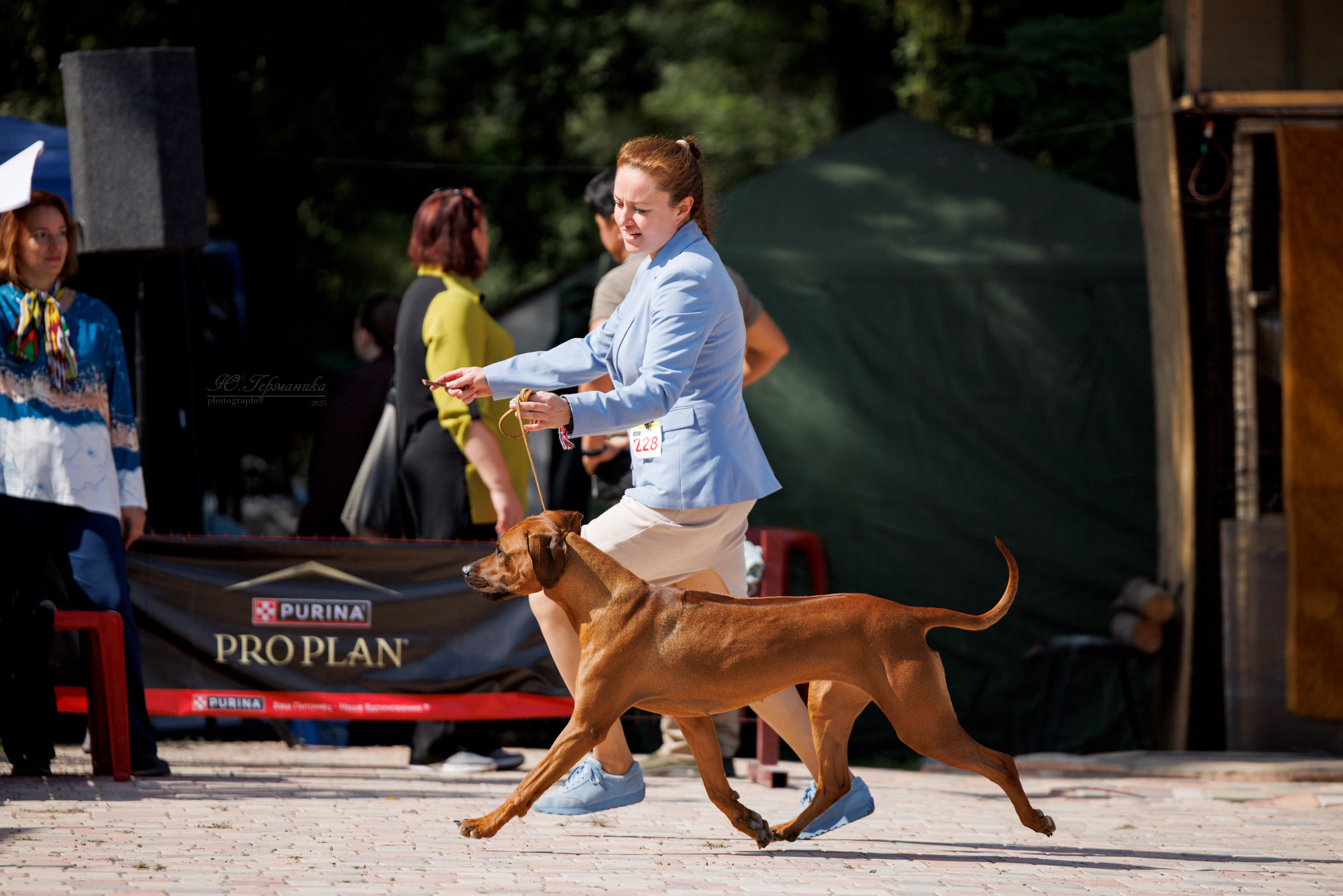 Ташкент 3хCACIB 3-5.10.2025. Фотограф-анималист Юлия Германика
