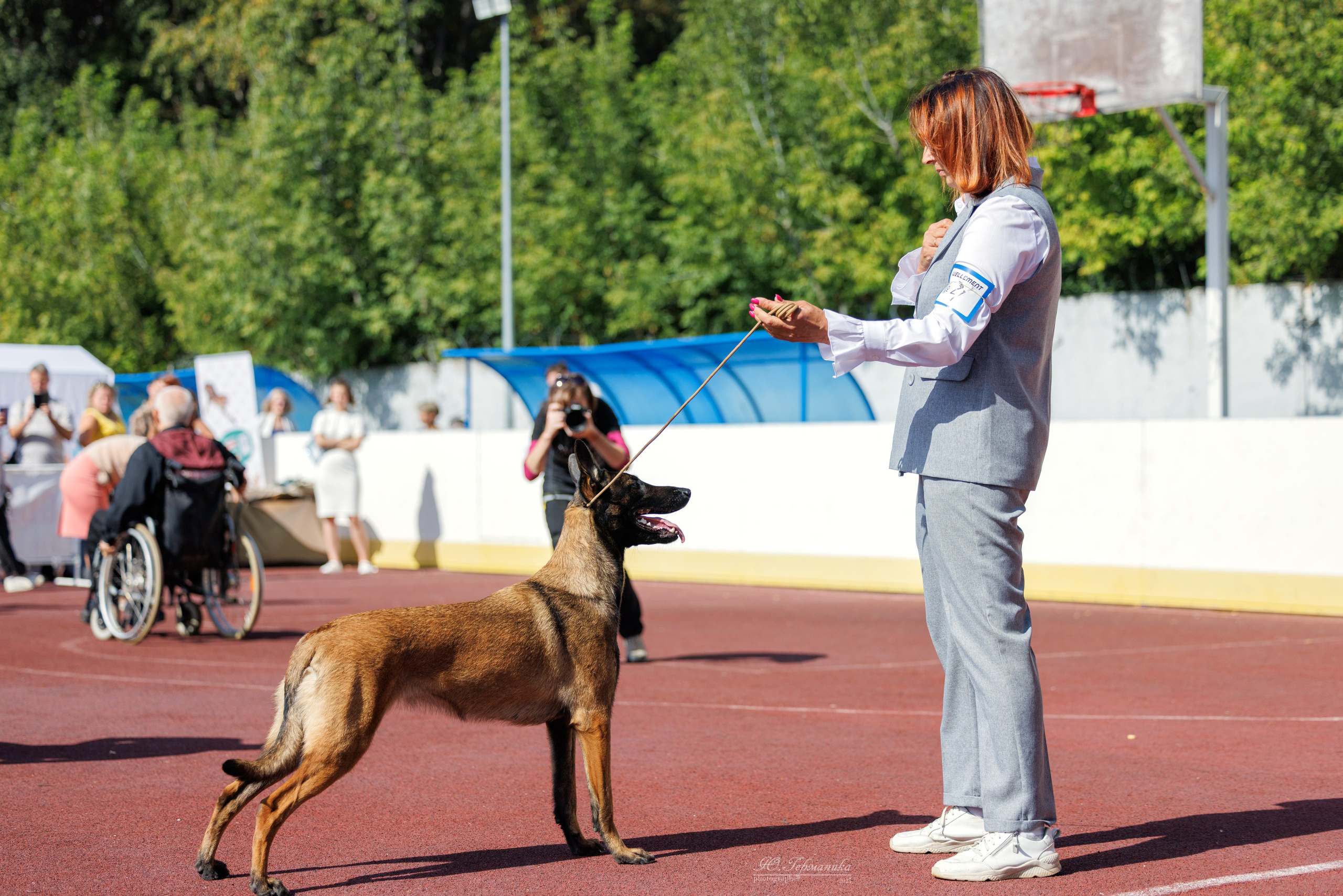 Коломна 30.08.2025. Фотограф-анималист Юлия Германика