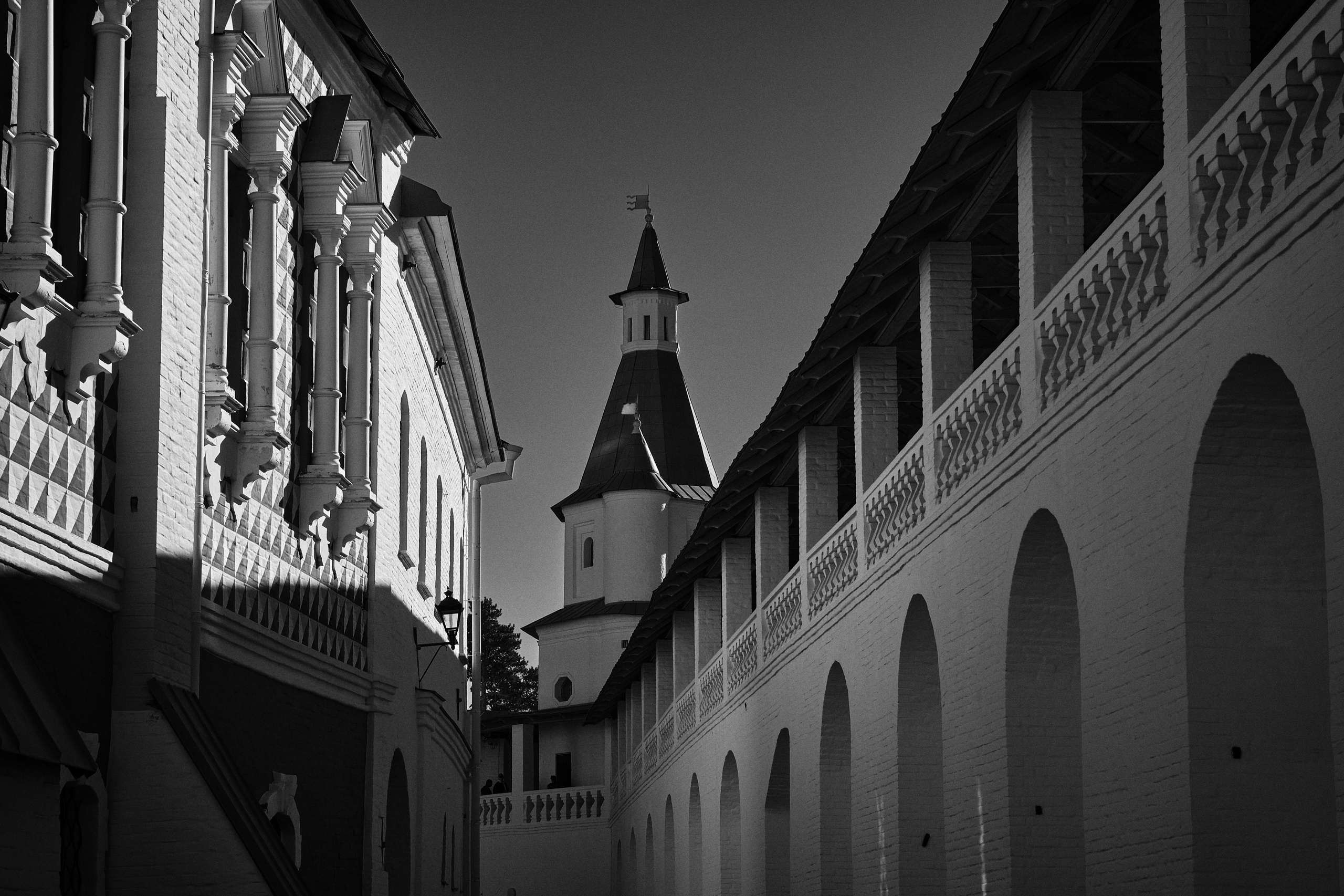 Воскресенский Ново-Иерусалимский монастырь / Истра. Aleksandr Kobtsev