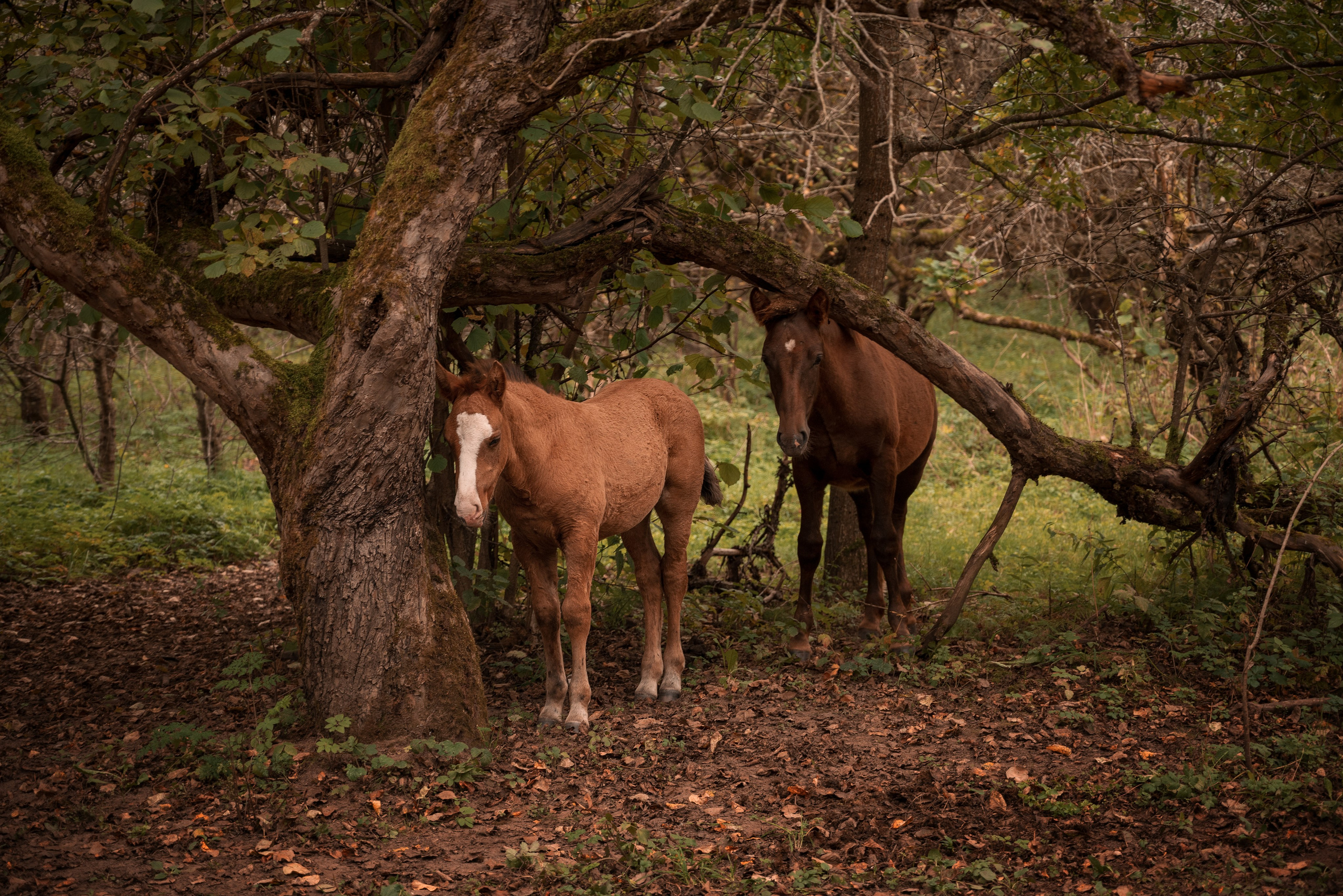 Места. Фотограф в Минске Дарья Кончакова