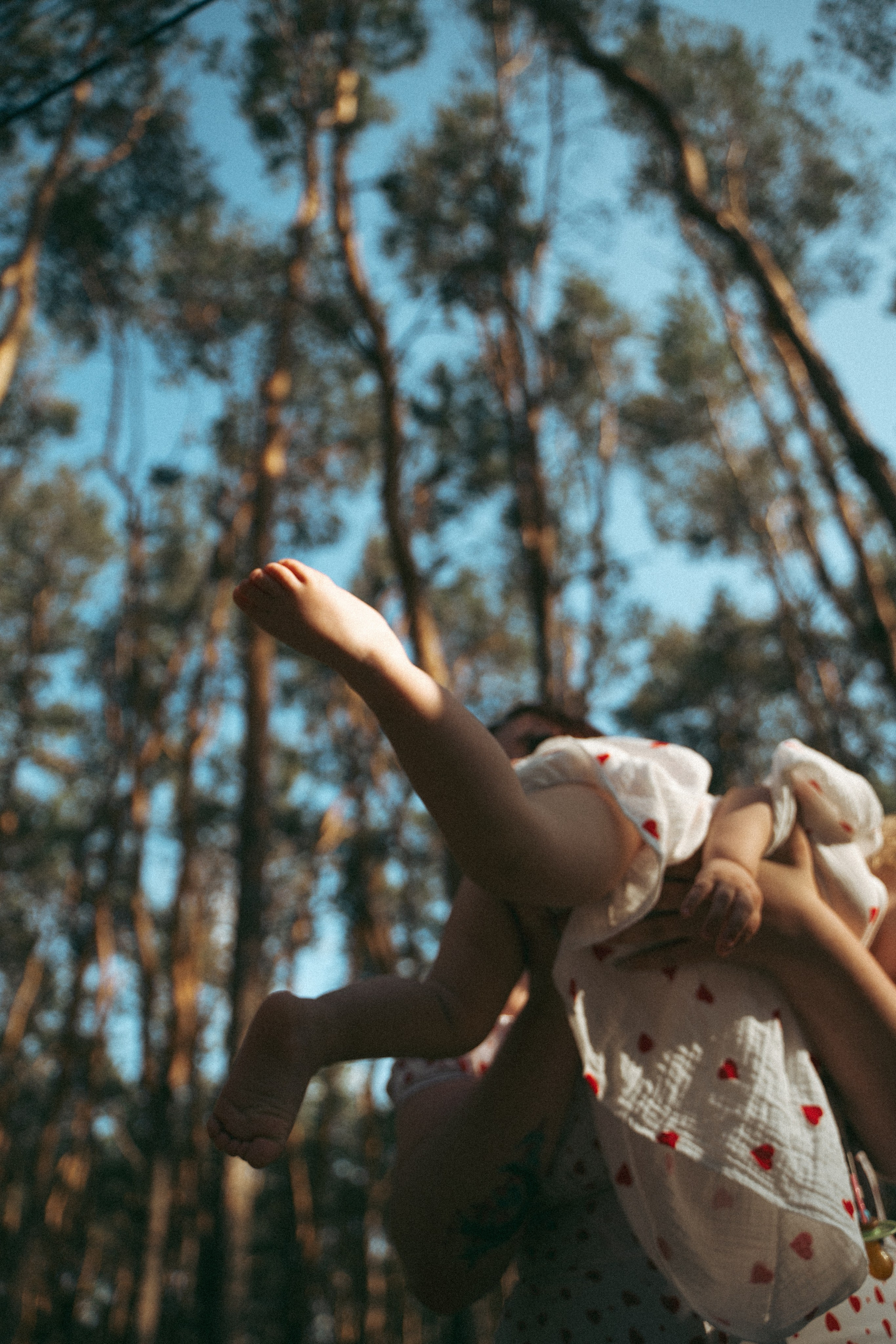 Дельфин парк. Фотограф Мария Зайчик
