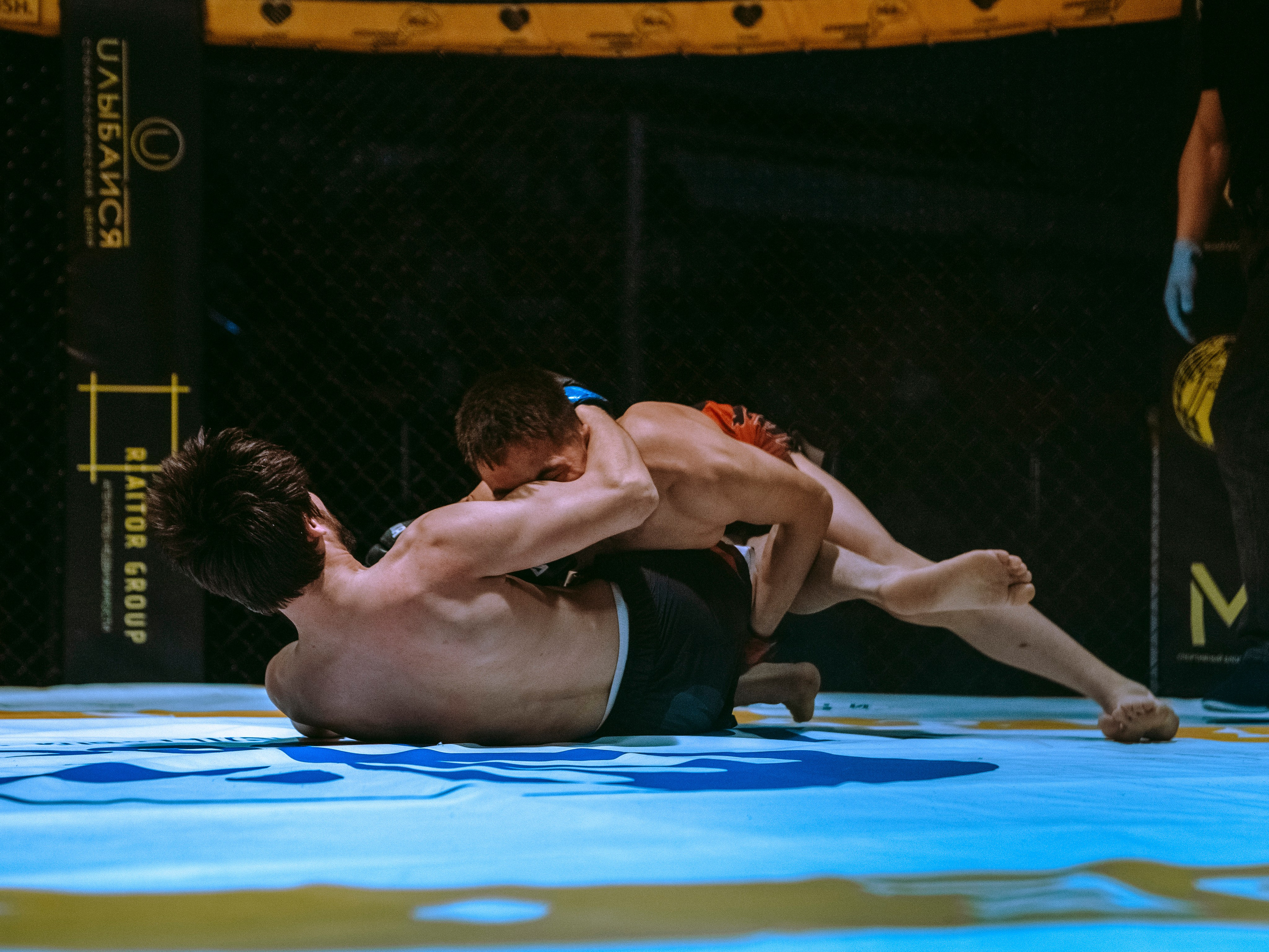 SFL 17 | Siberian Fighting League. Портретный фотограф в Москве Дарья Цезария