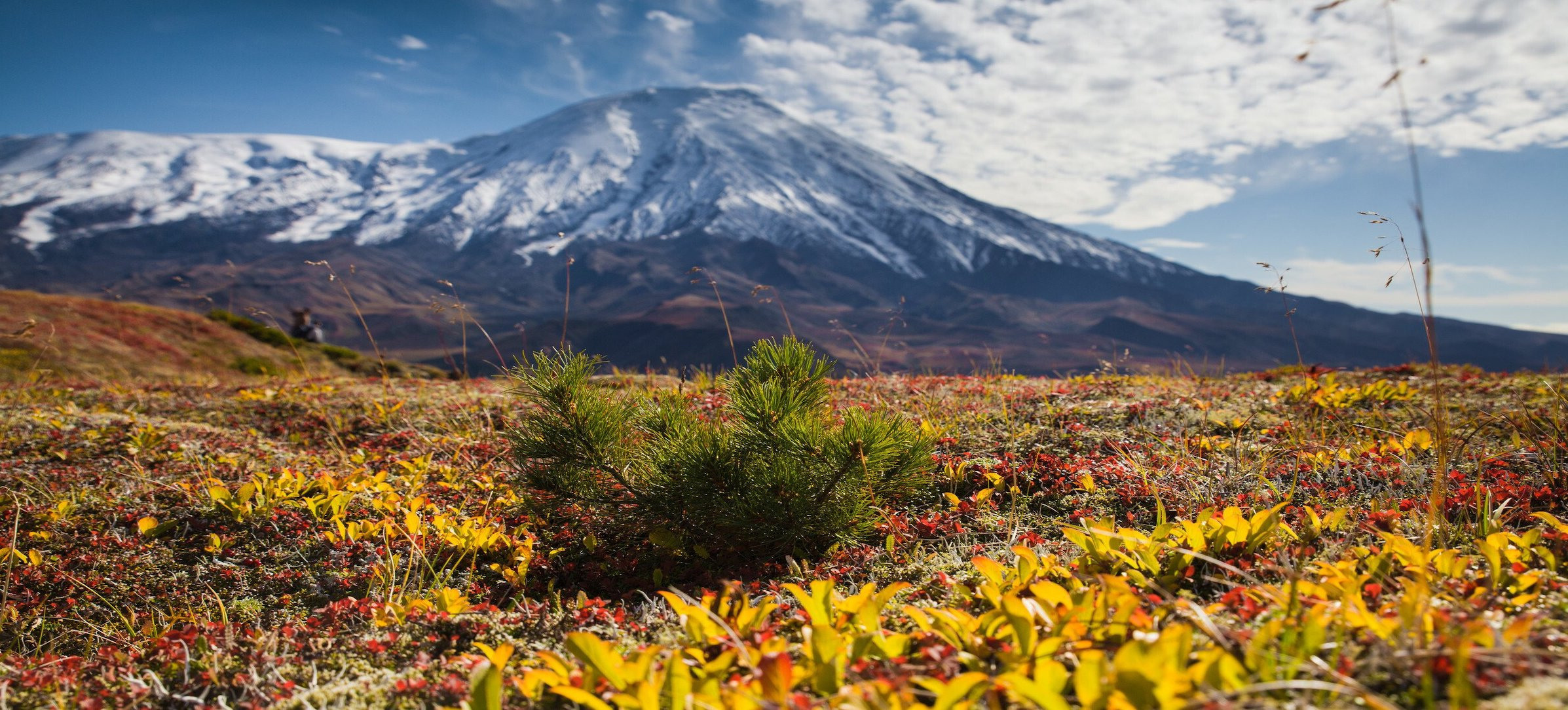 Студия «ФОТО-ПРО» Звенигород