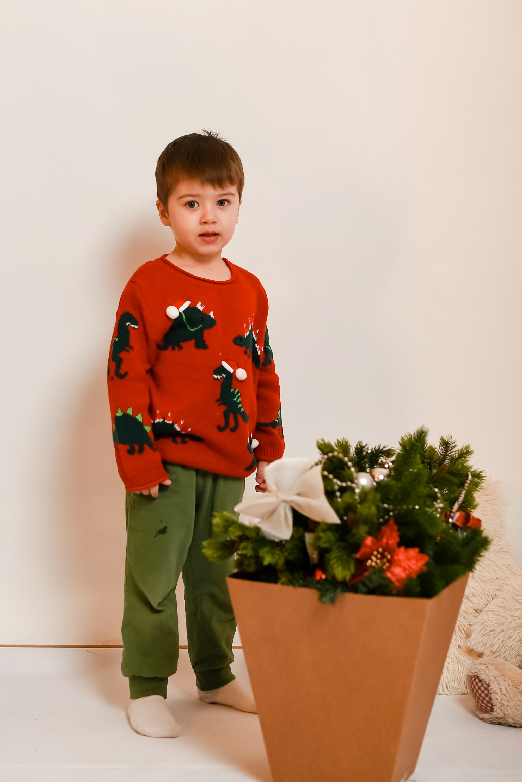 Новогодняя семейная фотосессия 2026 г. Фотограф Тула творческие фотосессии недорого Ольга Ромашина