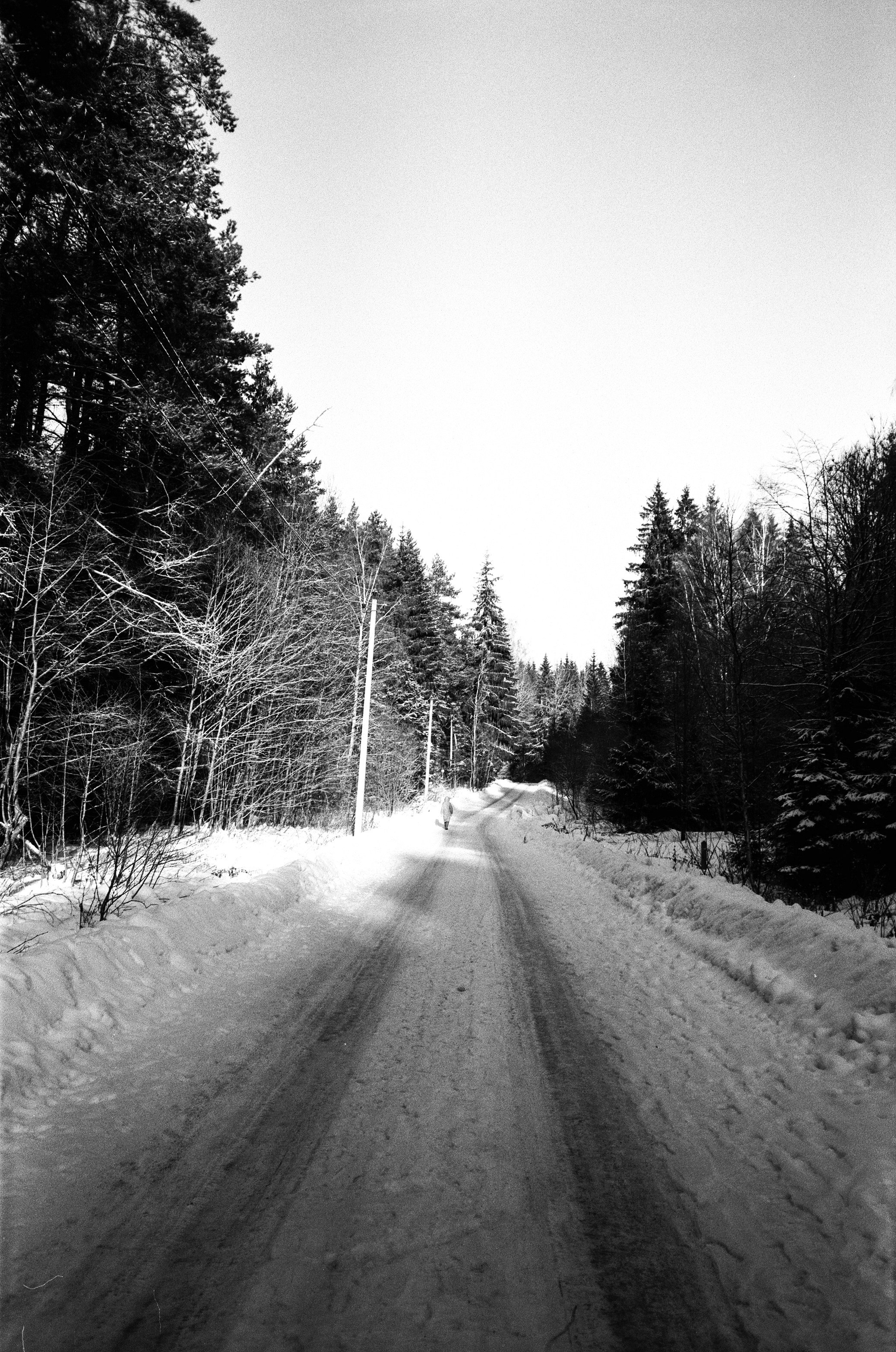 Nikon Action Touch (L35AW) / SFL T-25 / Давыдовское