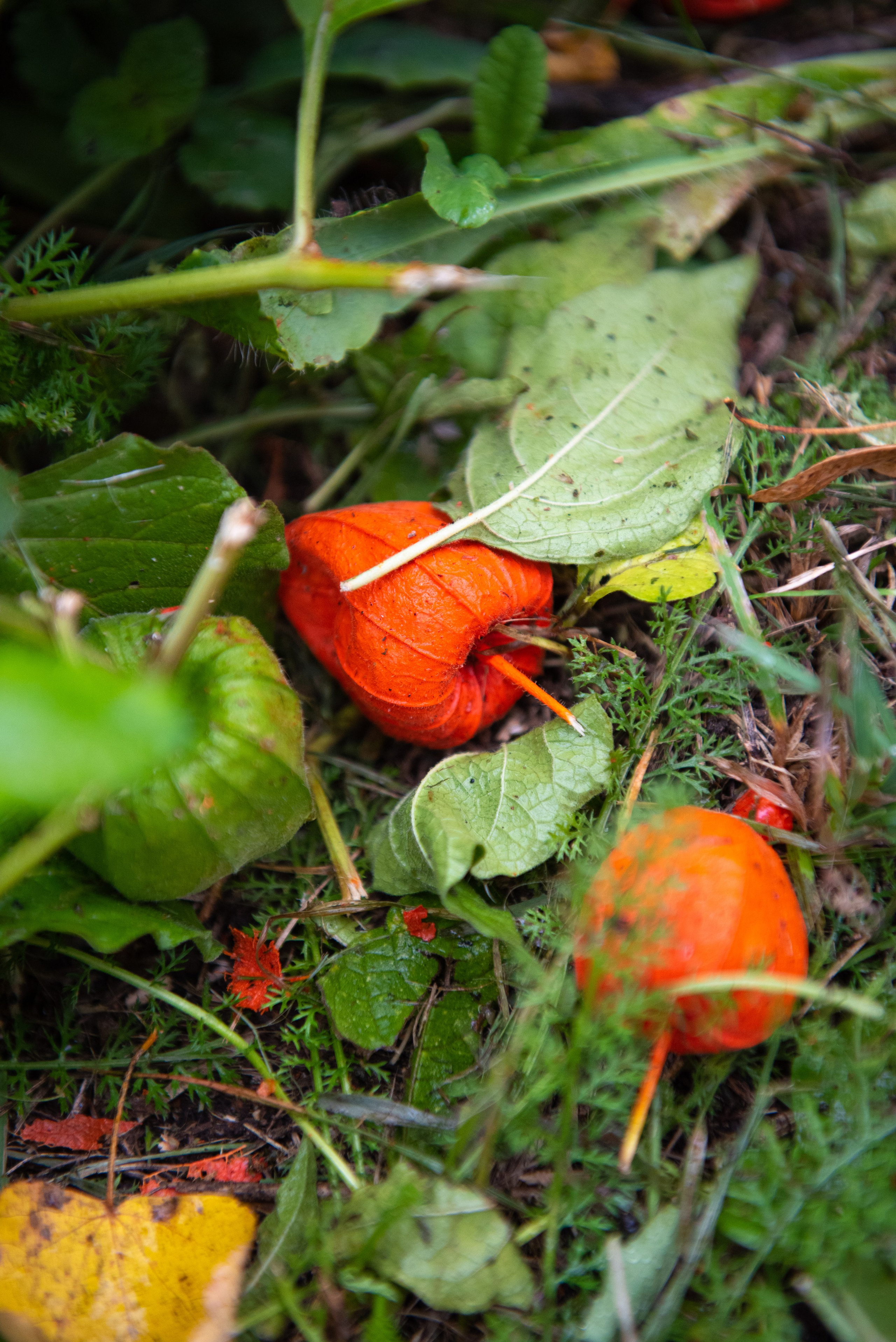 Великий Новгород. Портретный и архитектурный фотограф в Москве и Санкт-Петербурге