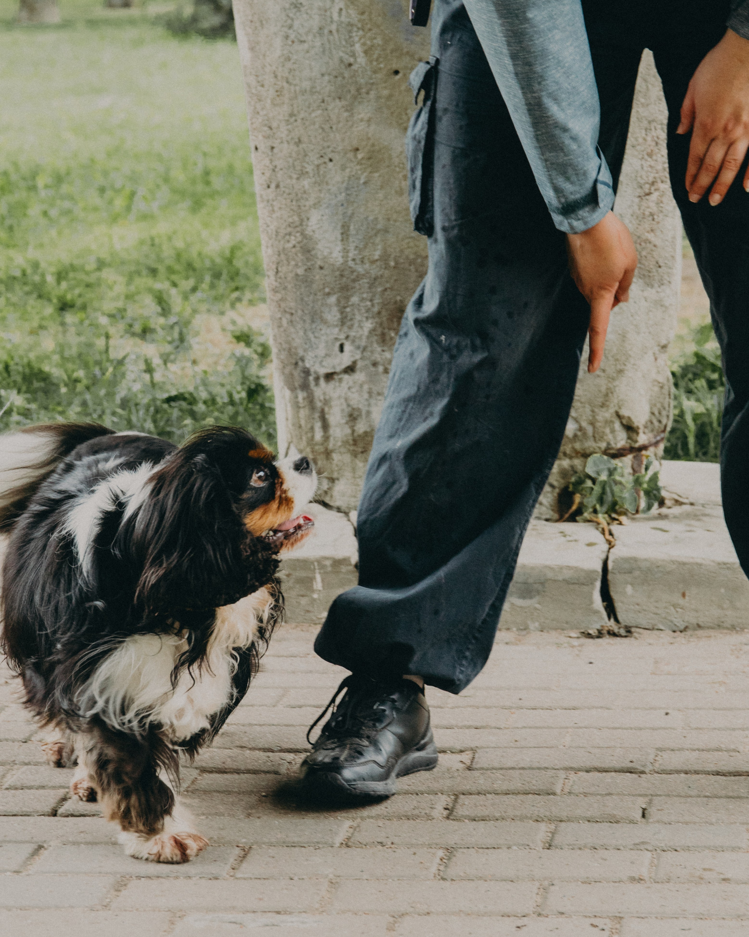 Гилдин. Портретный фотограф Ванинен Анастасия. Санкт-Петербург