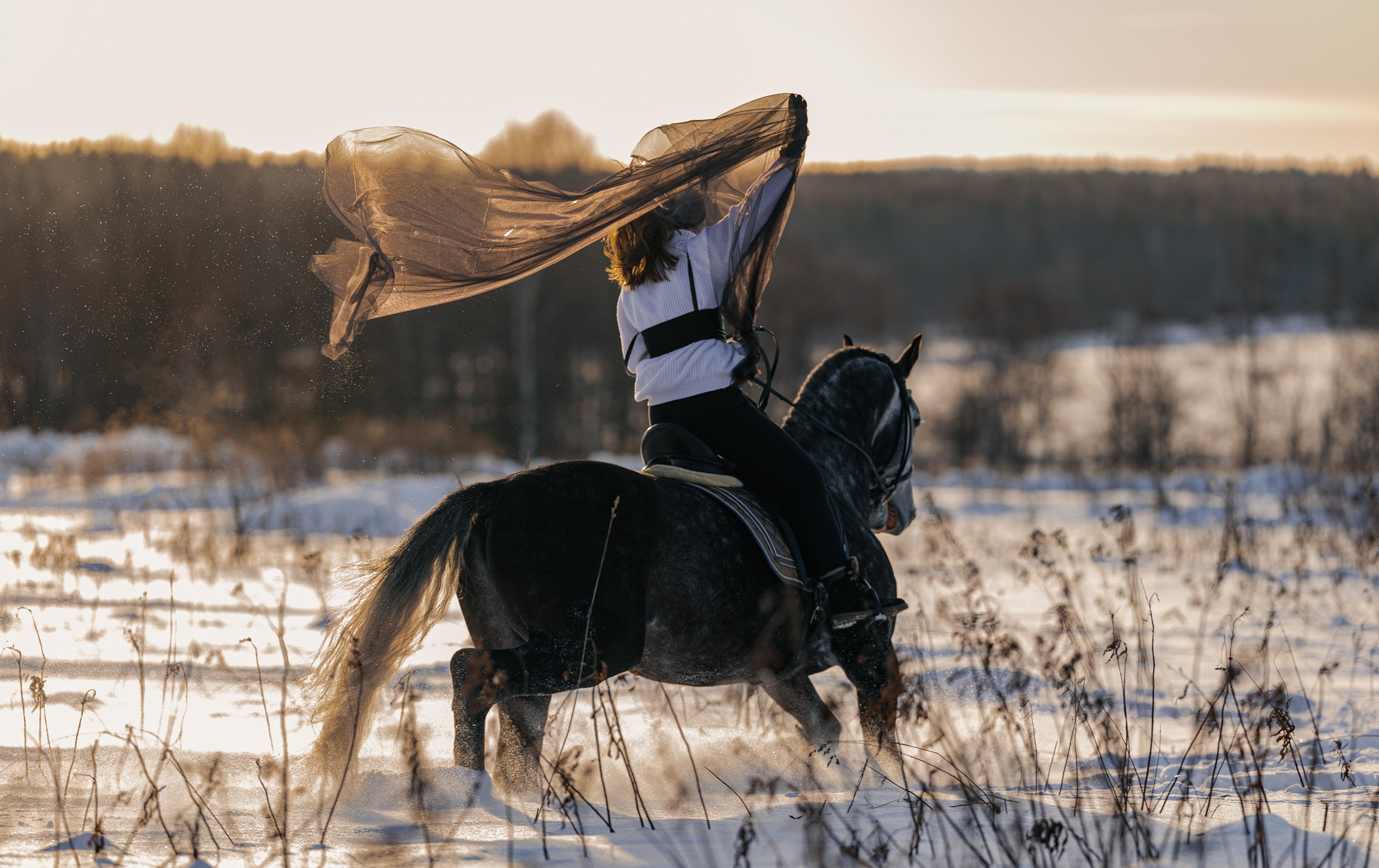 одежда в аренду для фотосессии, образы для съемки в Петрозаводске
