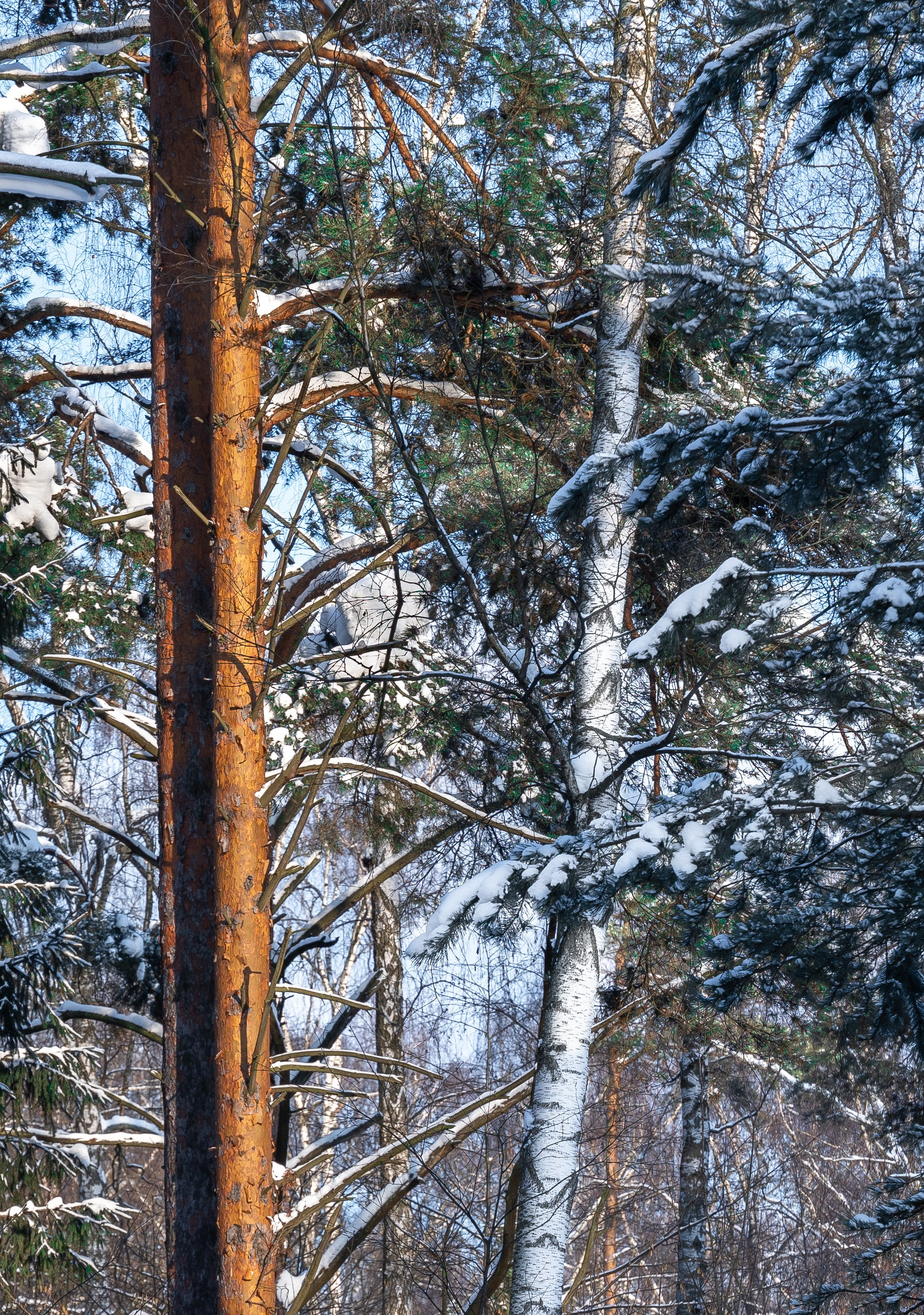 ПЕРЕДЕЛКИНО. ПОБУДЬ ЗДЕСЬ И ЦЕЛЕЕ БУДЕТ ЭТОТ МИР
