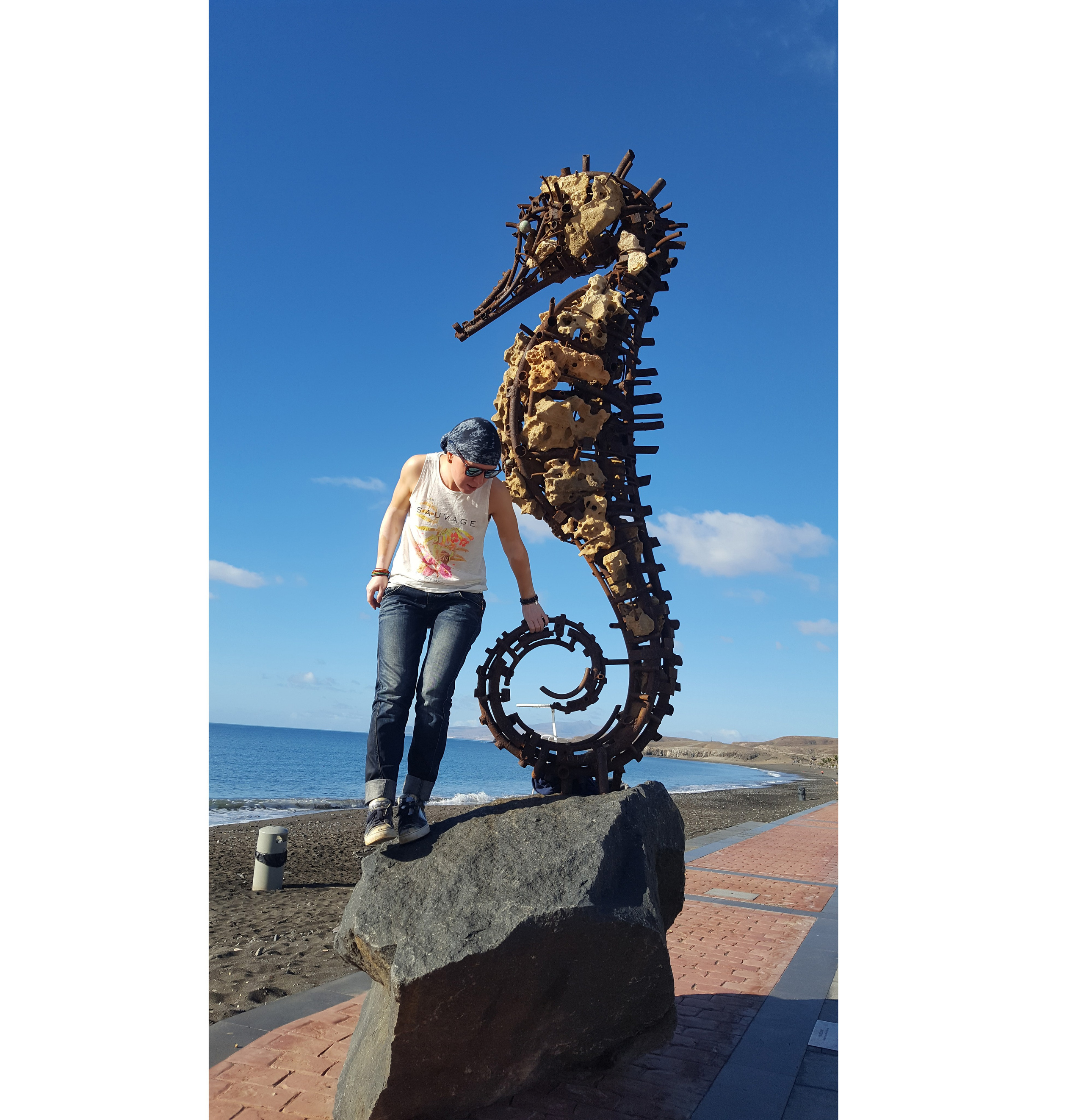 Морской конёк/Испания/Канарские о-ва/ Фуэртевентура/2017. Художник — скульптор Антонина Фатхуллина