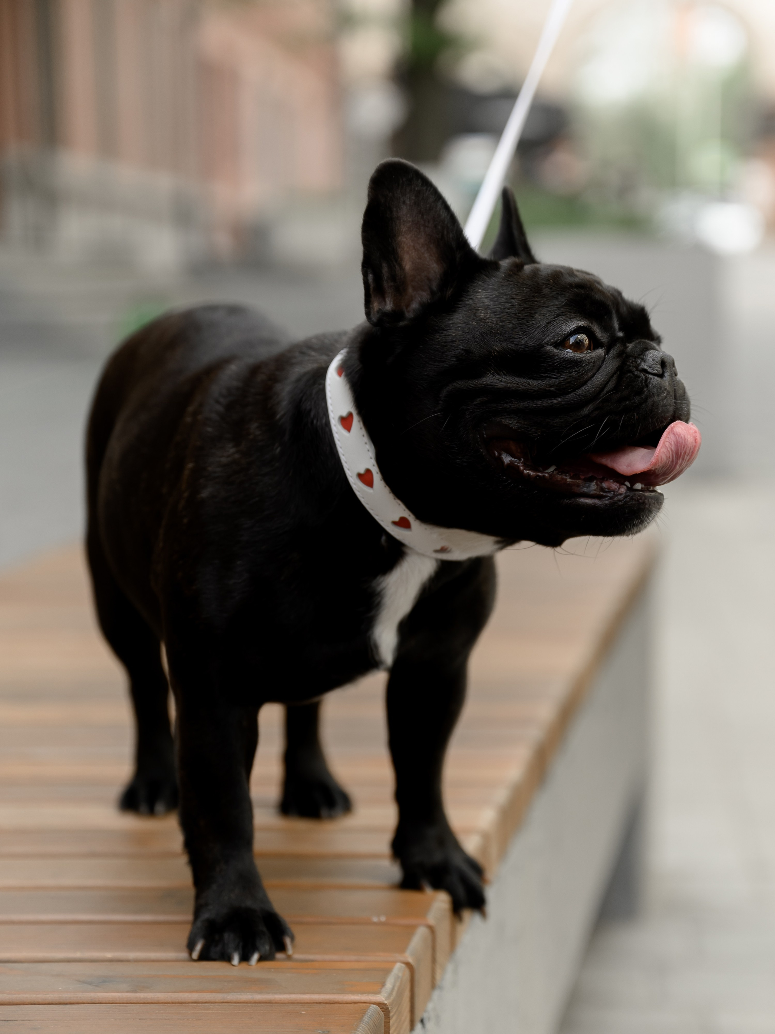 What a wonderful world. Backpackweddings фотограф и видеограф Ростов-на-Дону Сочи