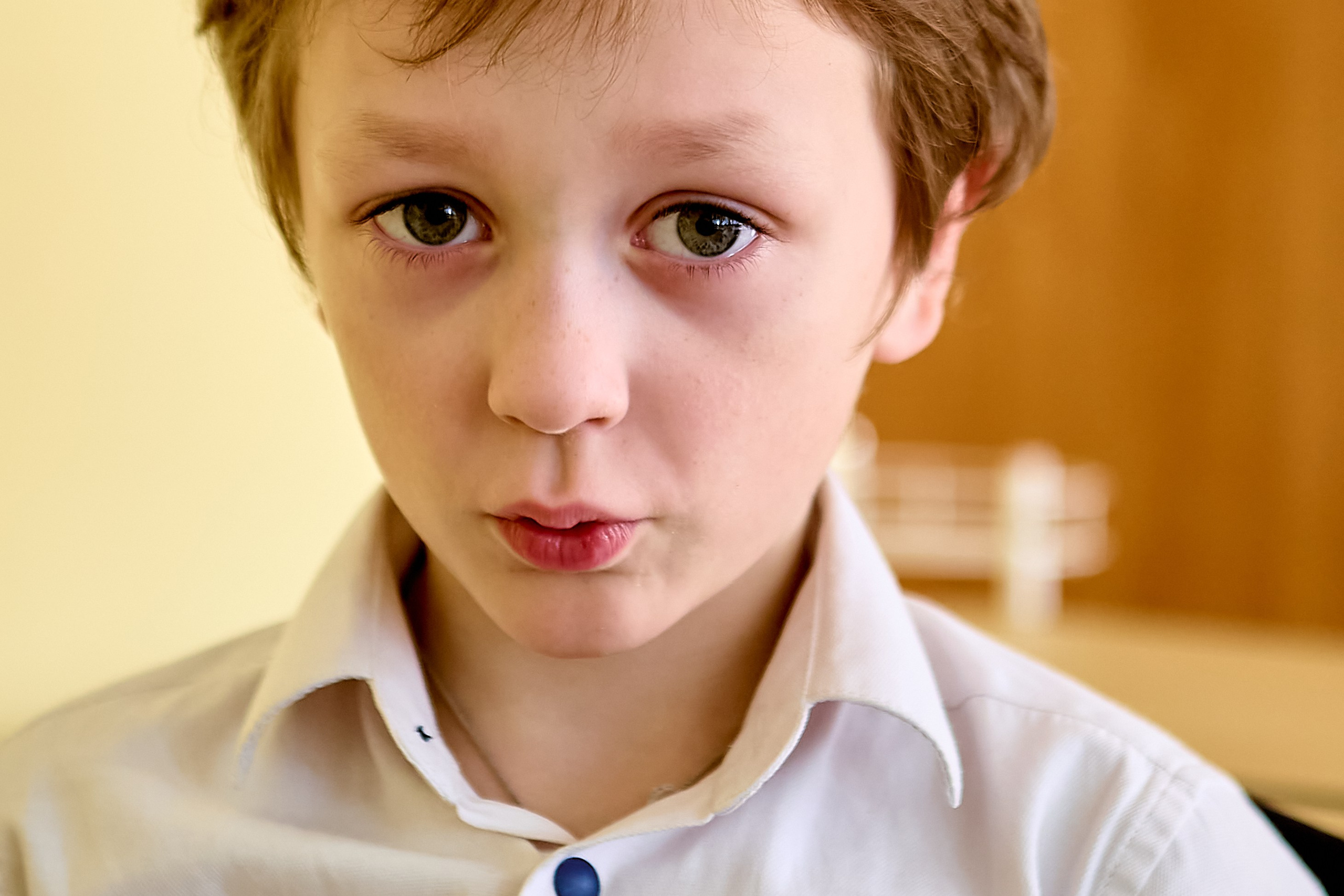 Школьный портрет мальчика