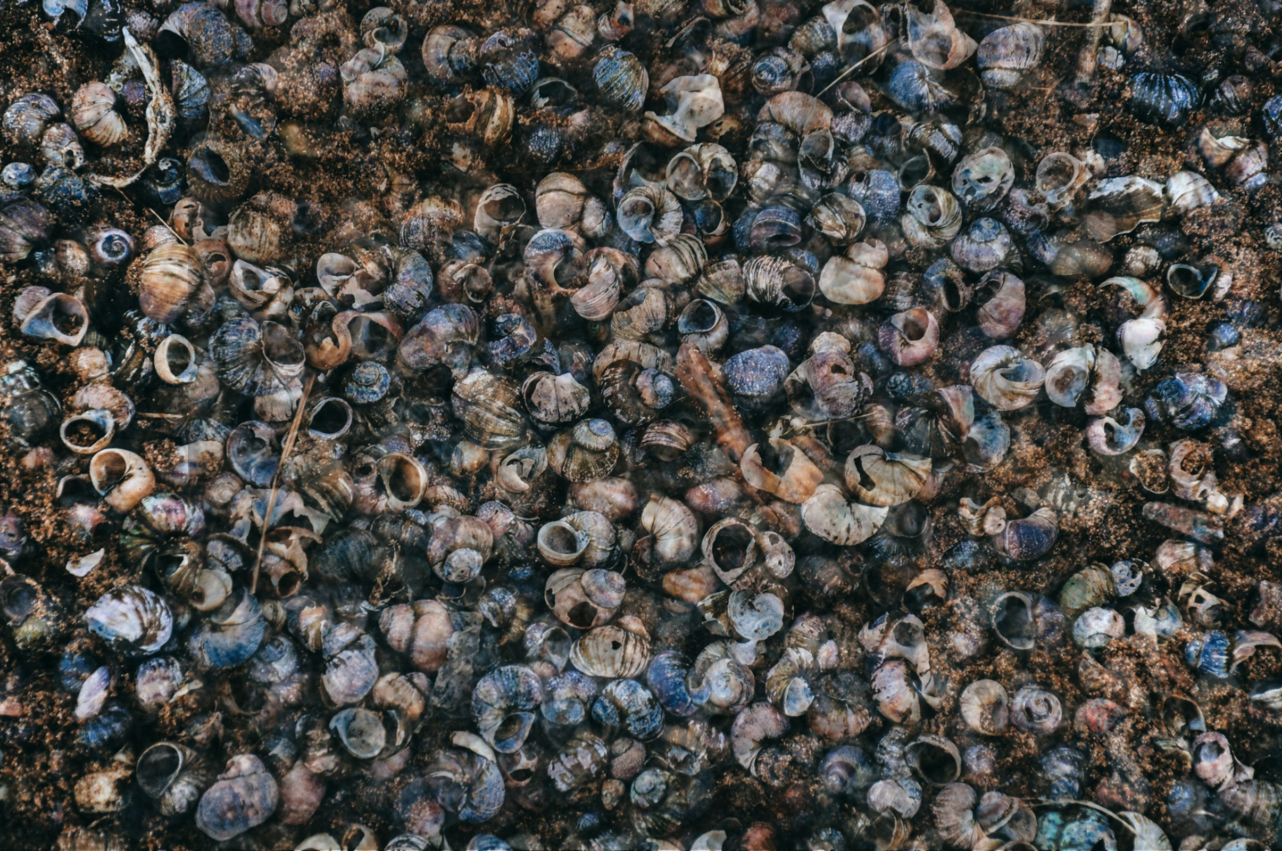 Холодный пляж. Катрин Эдельвак