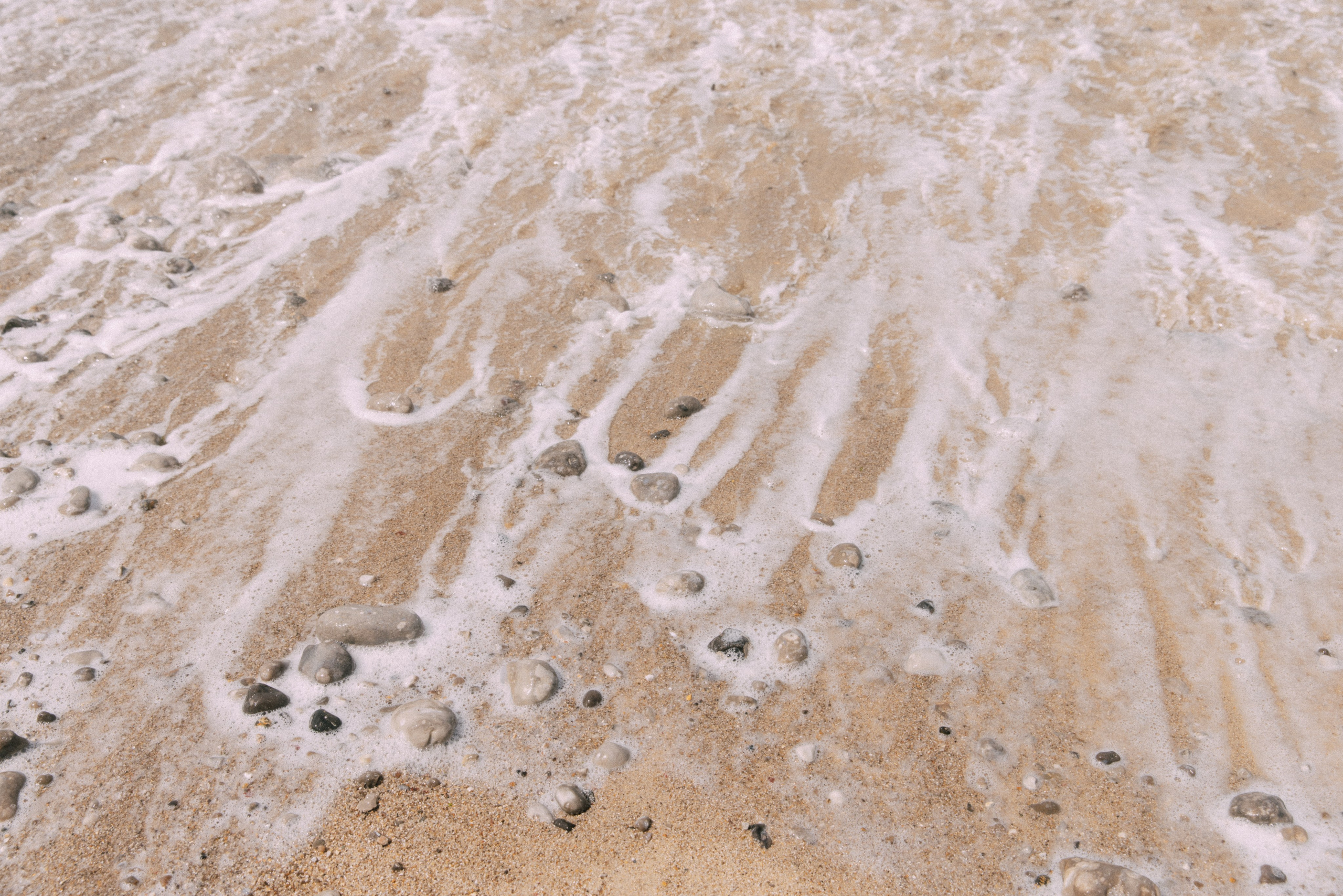 I am the ocean. Photographer in Paris