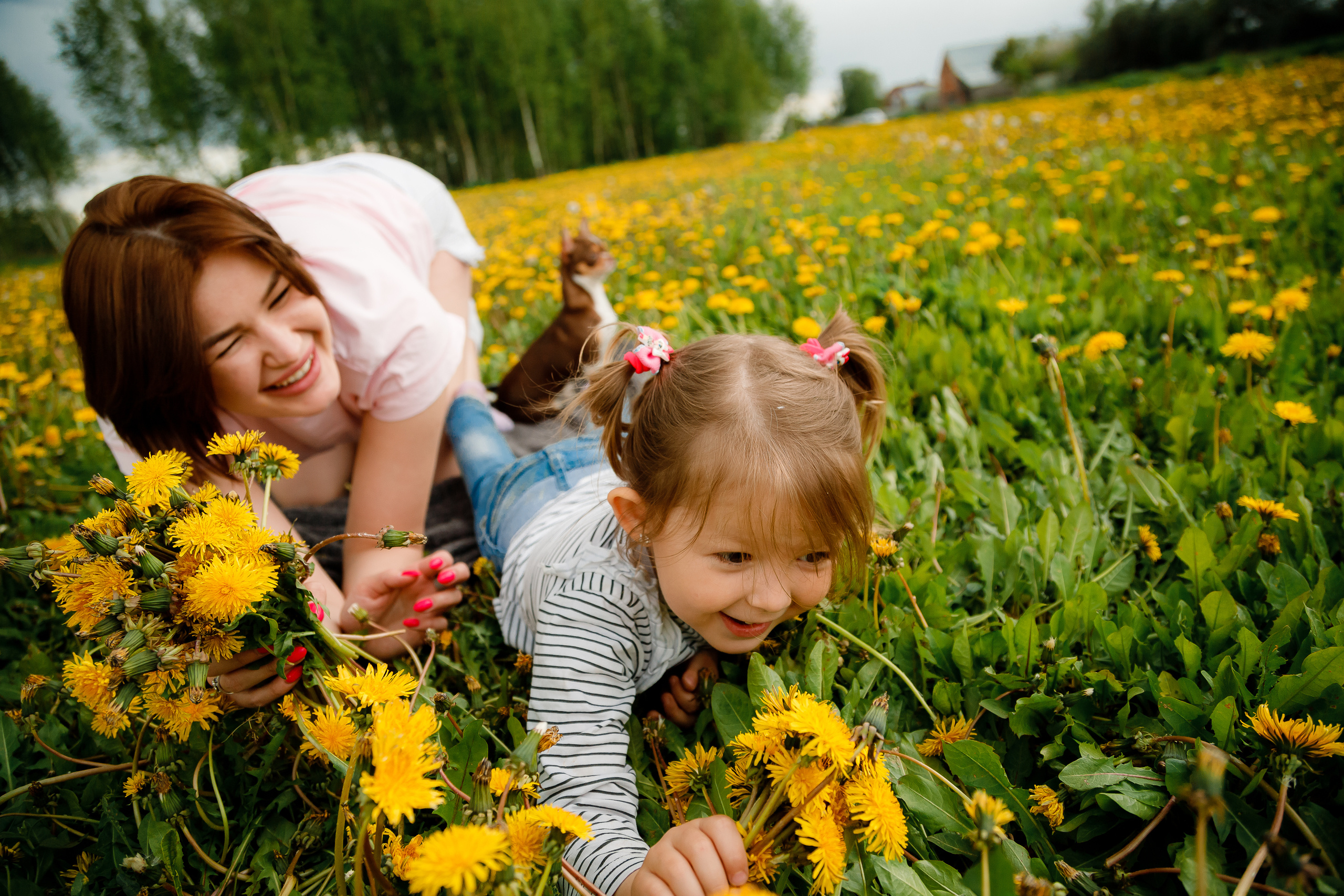 Семейная съемка в одуванчиках. Фотограф Карпачан Анастасия
