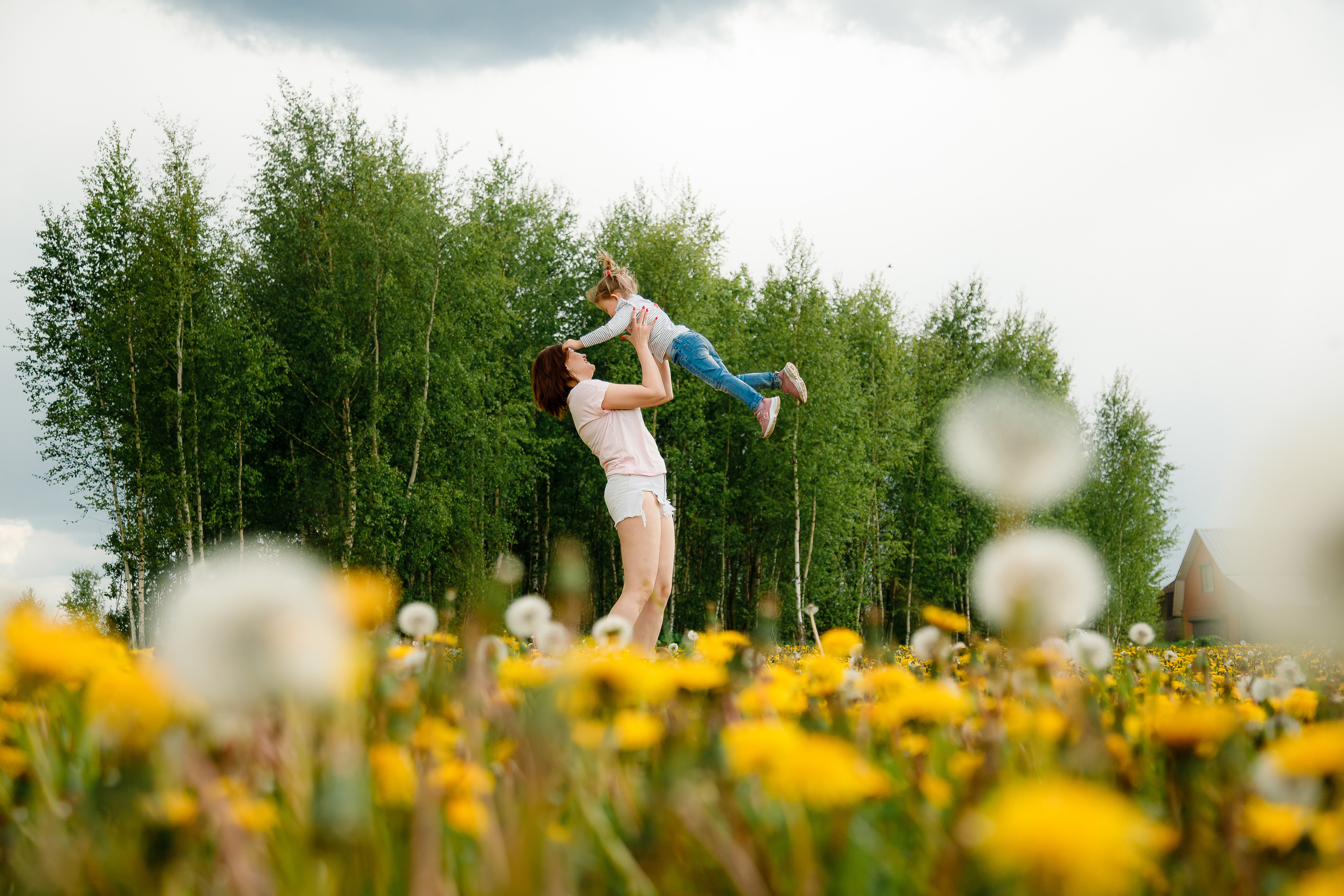 Семейная съемка в одуванчиках. Фотограф Карпачан Анастасия