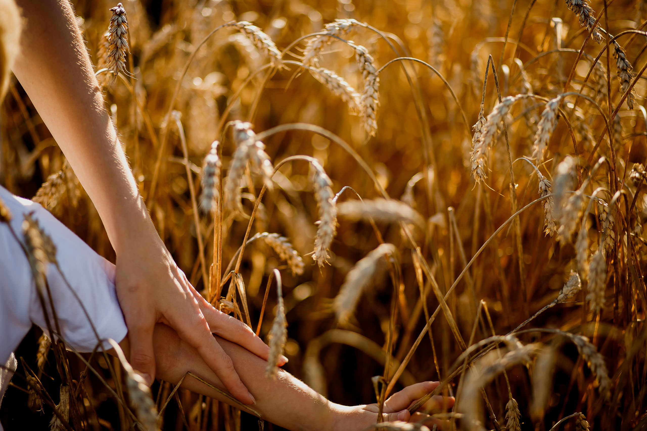 Катя и Вадим. Фотограф Карпачан Анастасия