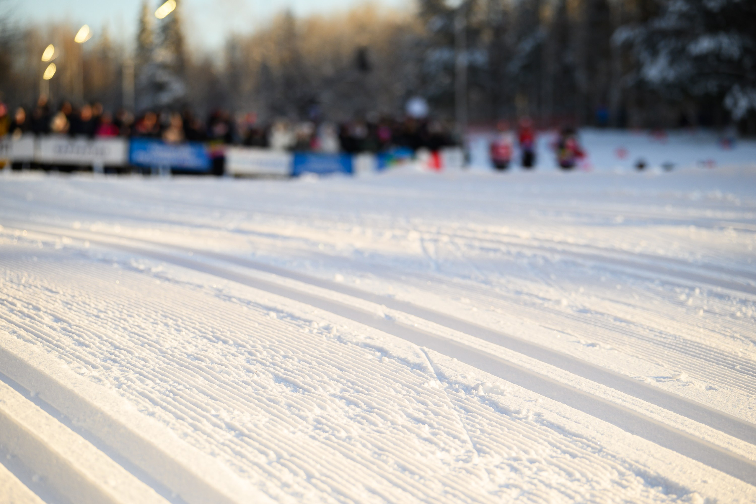 Лыжные гонки. Свадебный фотограф Ижевск Петр Шишков