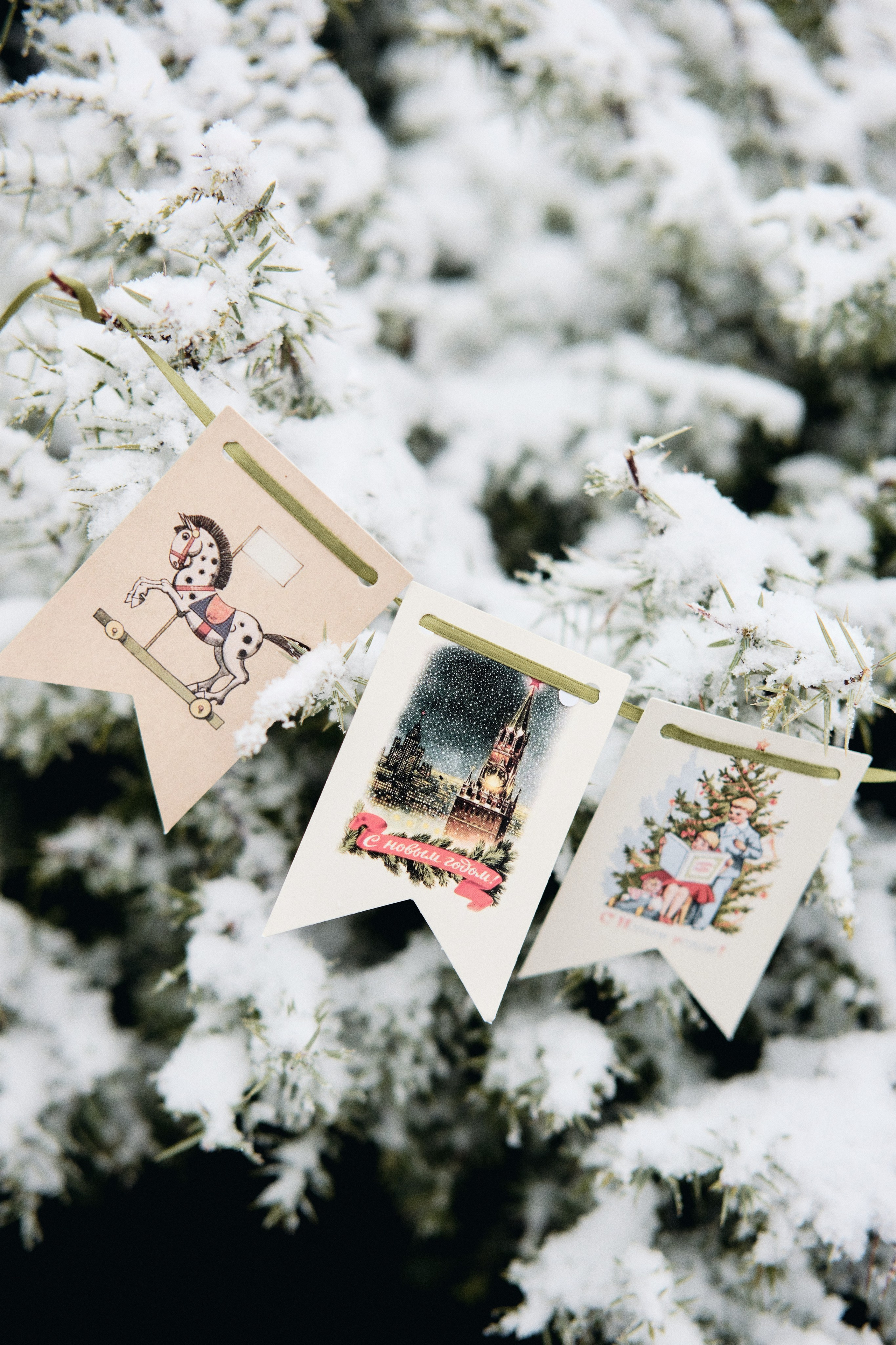 Каролинка. Фотограф в Анапе и Краснодаре Тина