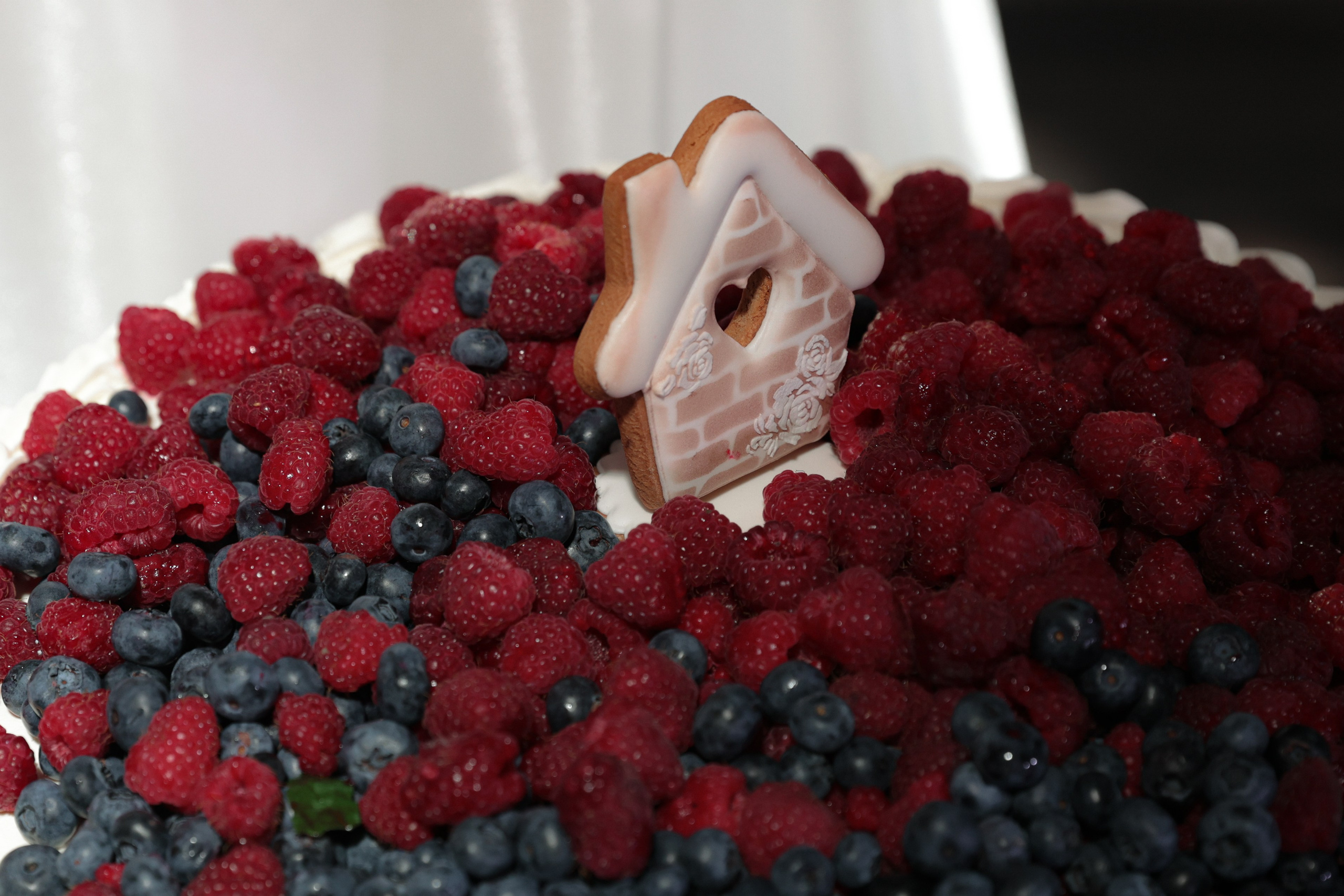 Фото: Аня Романова