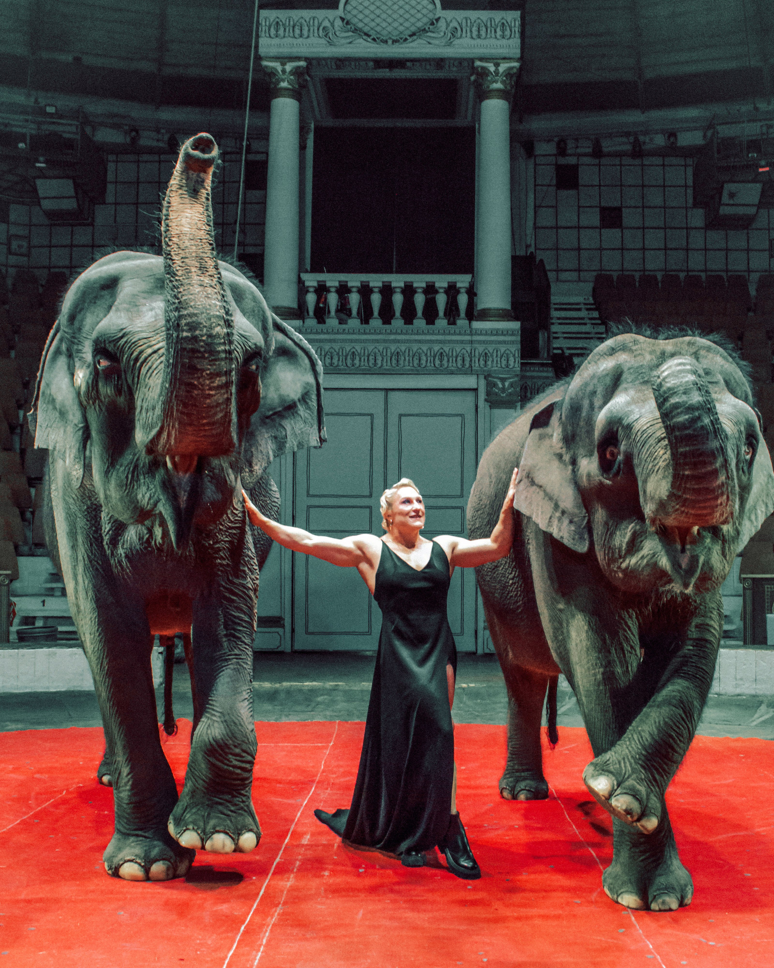 Екатерина. Главная