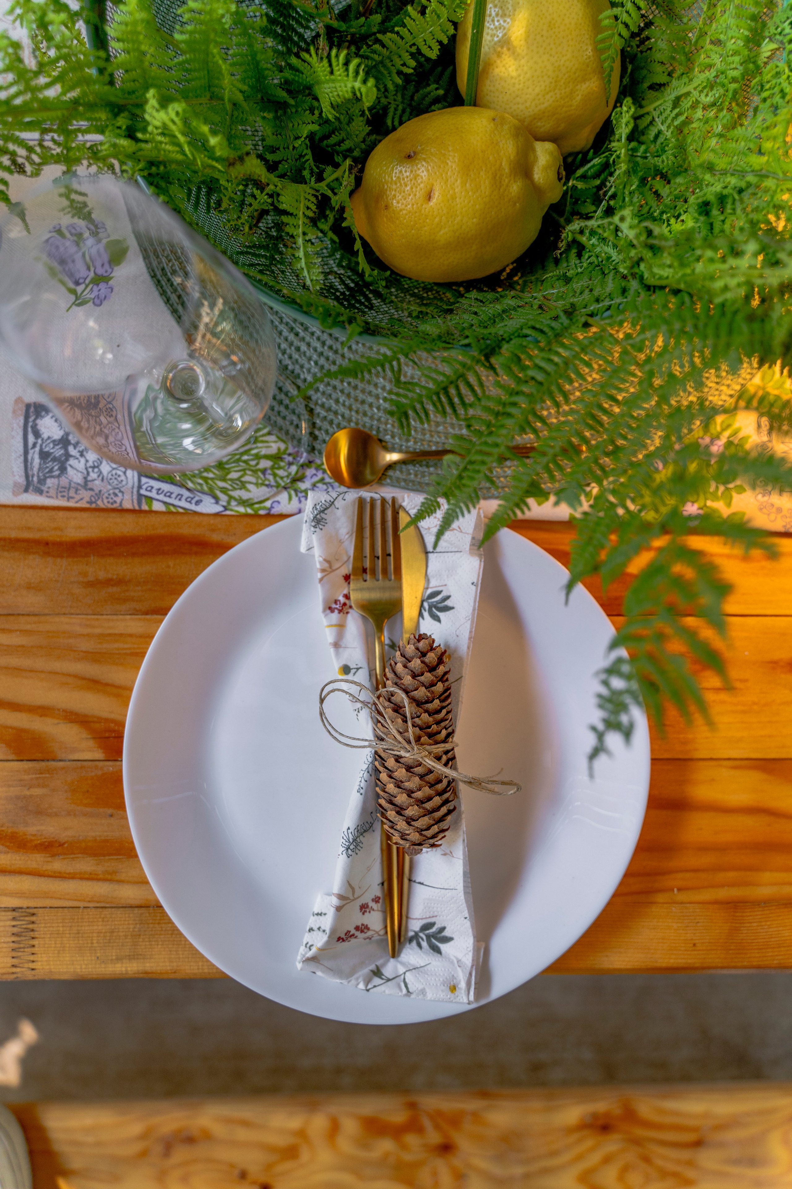 Viktorija Chalet. Photographer Liana Sudets Serbia Kopaonik Brzece Brus