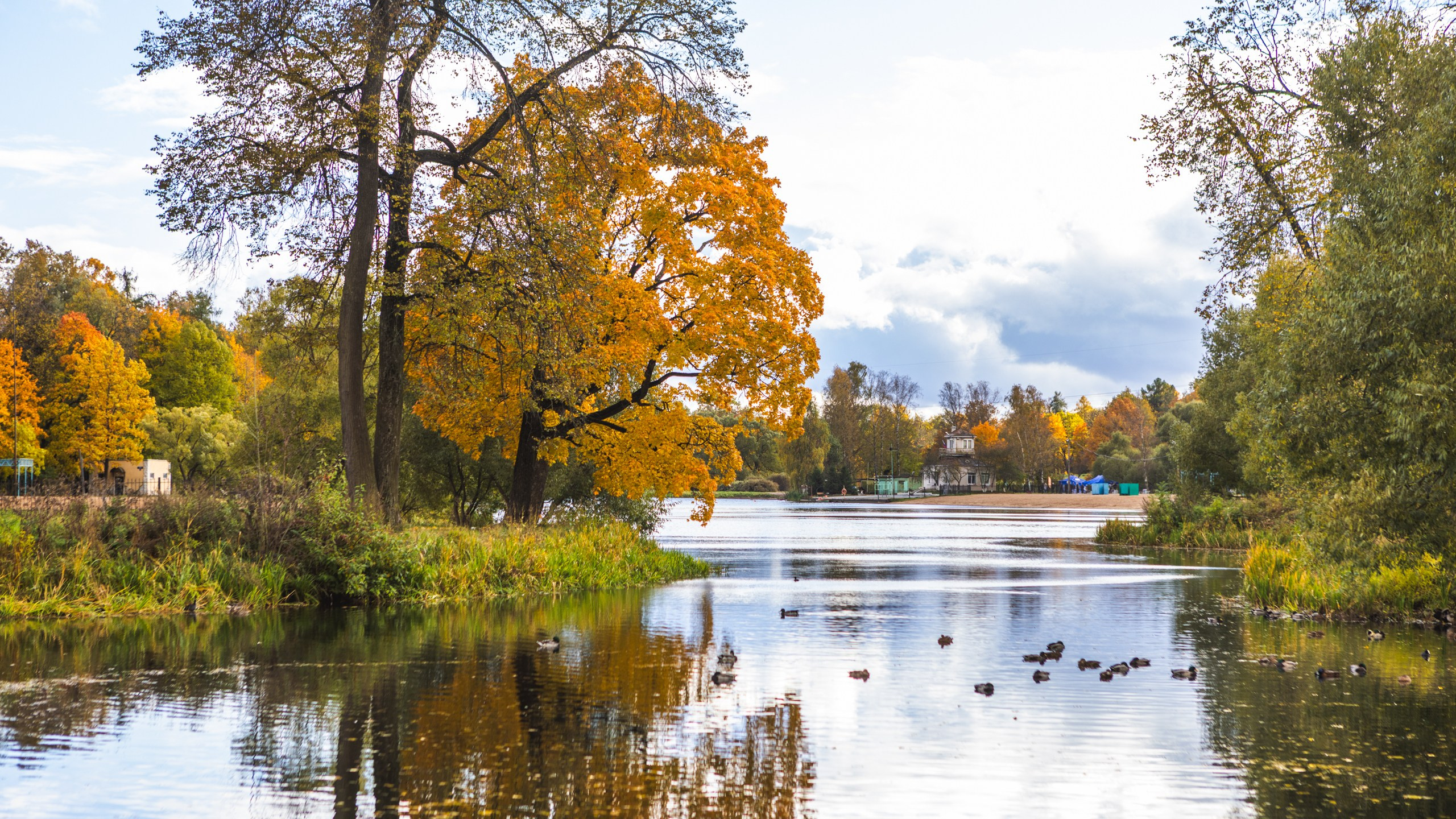 Репортаж с экскурсии в Царское Село. Фотограф Елизавета Чечевица | Петербург