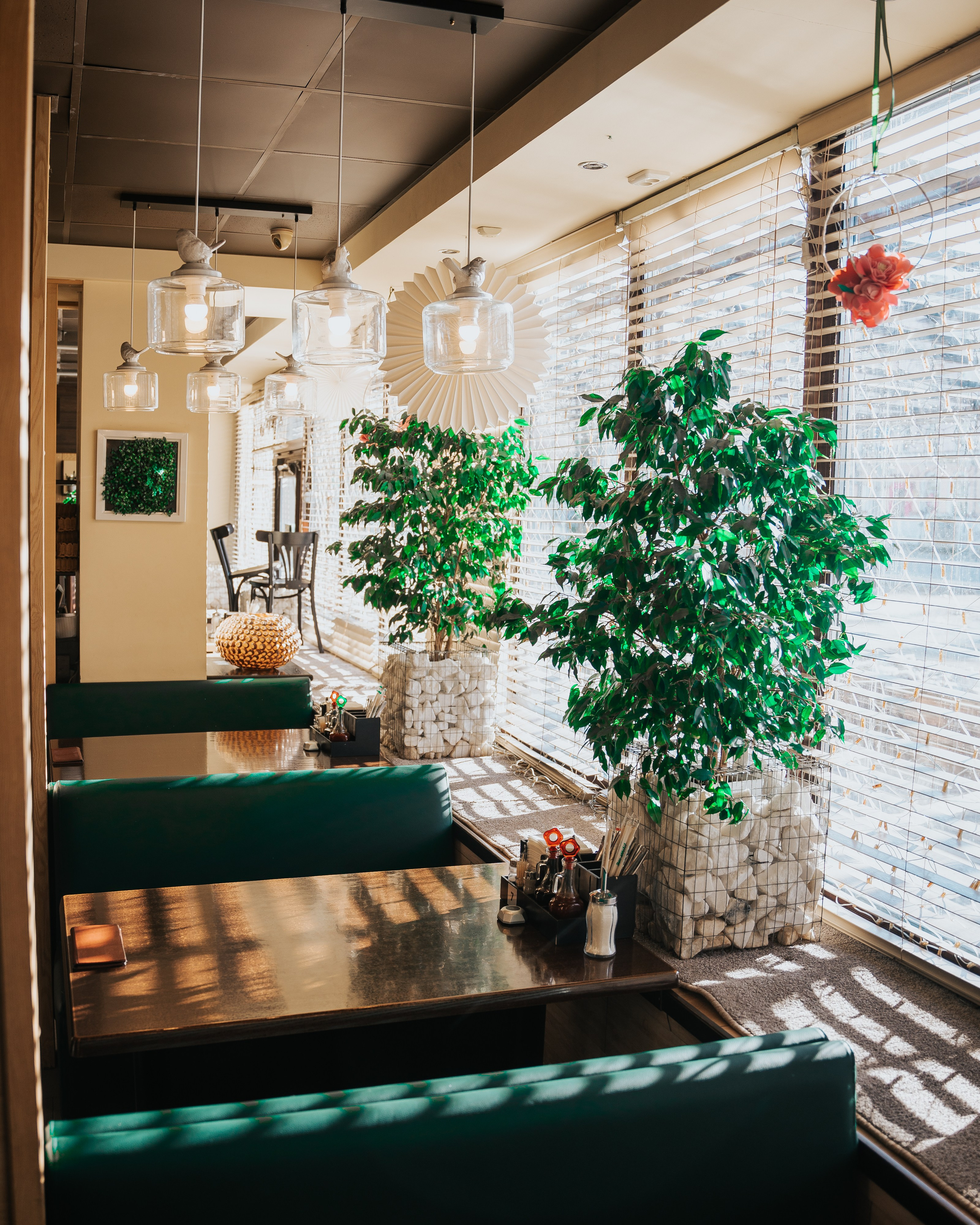 Синьор Помидор. Фотограф Хабаровск