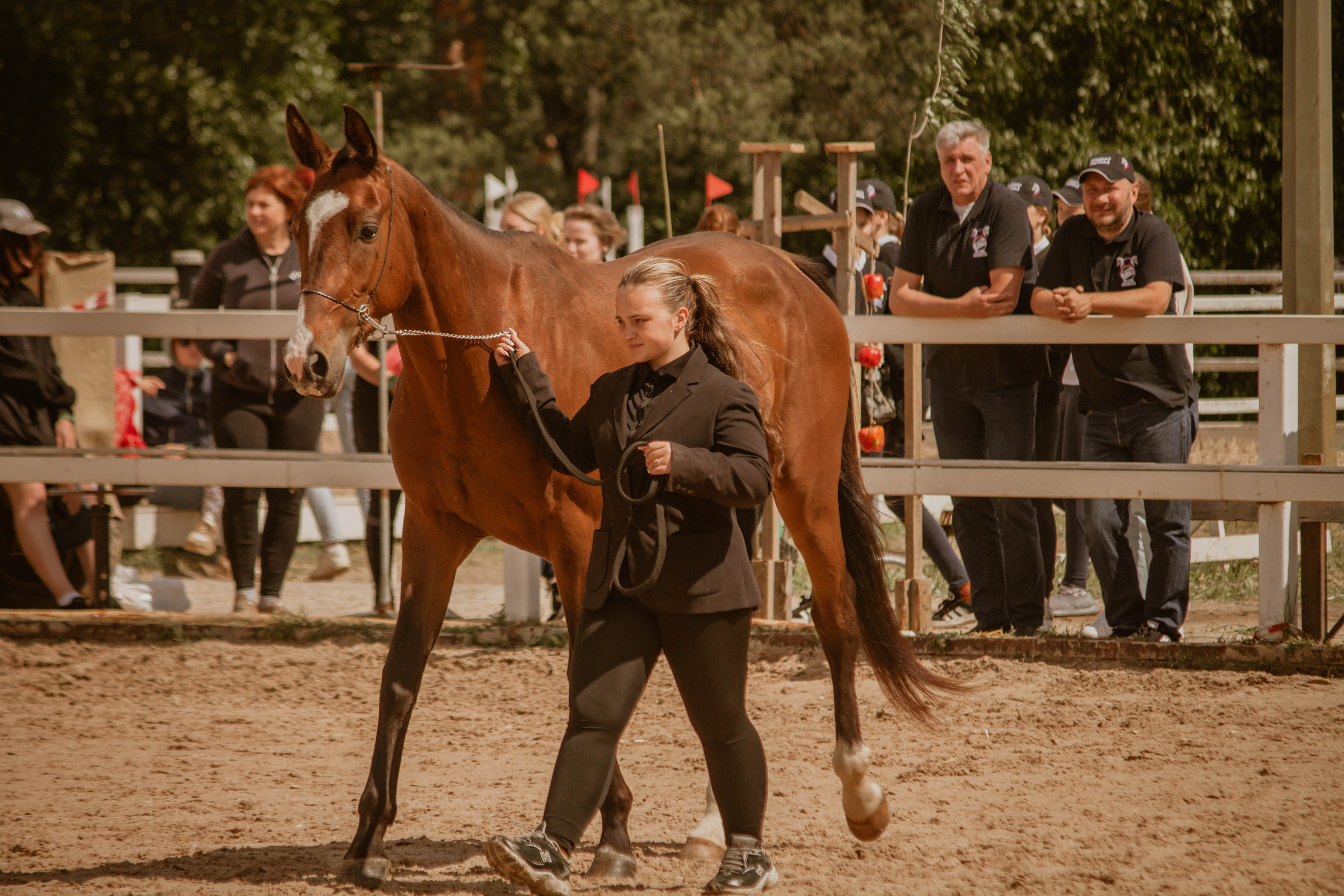ИППОСФЕРА — Международная конная выставка. Создадим шедевр? Виталина и её фотоискусство