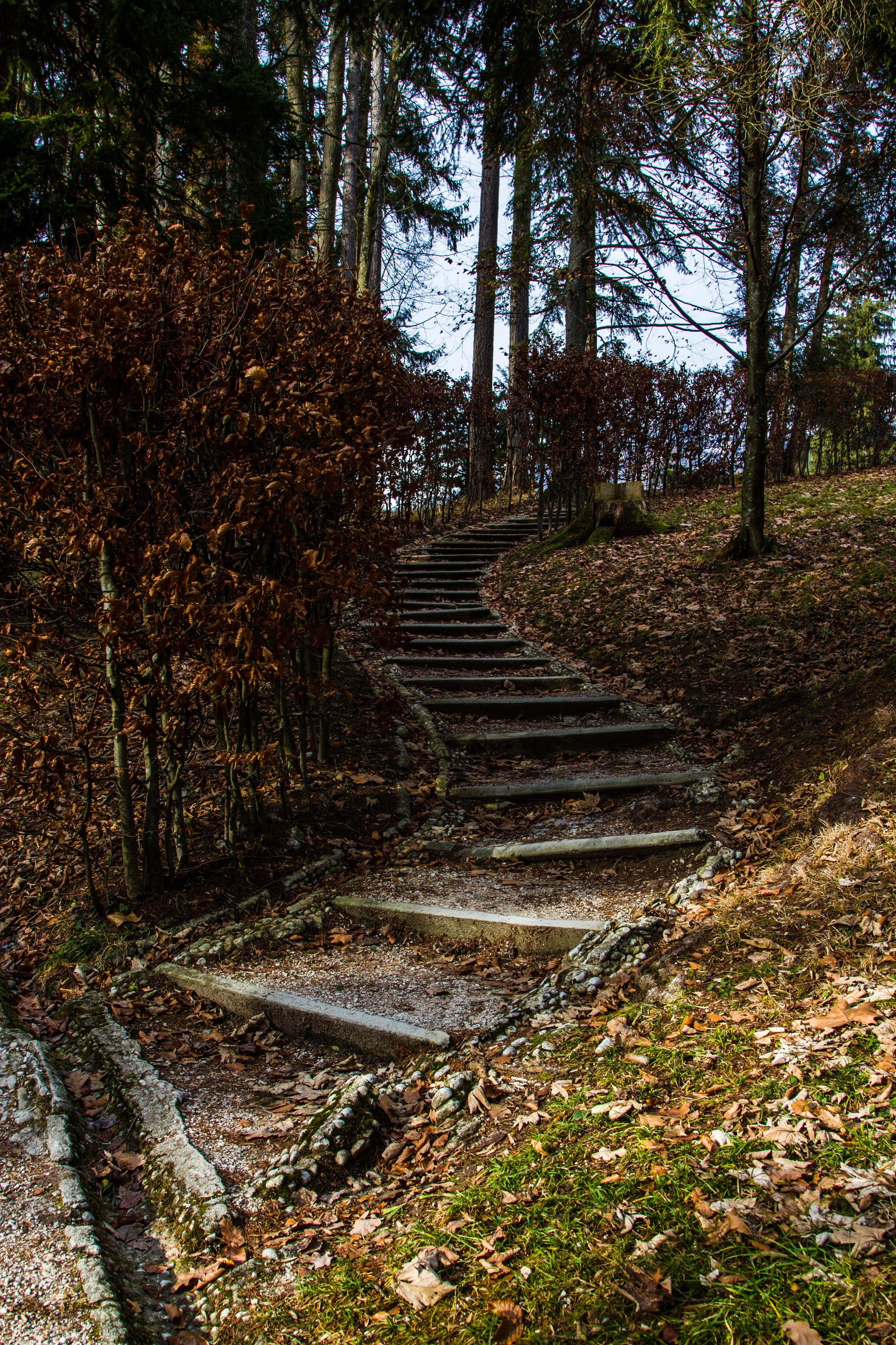 Австрия: Бад-Ишль. Дарья Письменюк / Darya Leitstern — фотограф, музыкант, журналист, путешественник