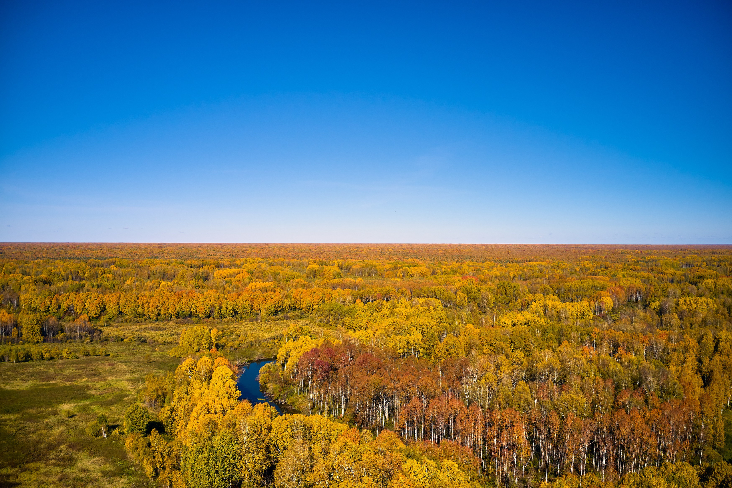Съемка в полете. DMITRY MOISEENKO — фотограф, художник, топ-стилист