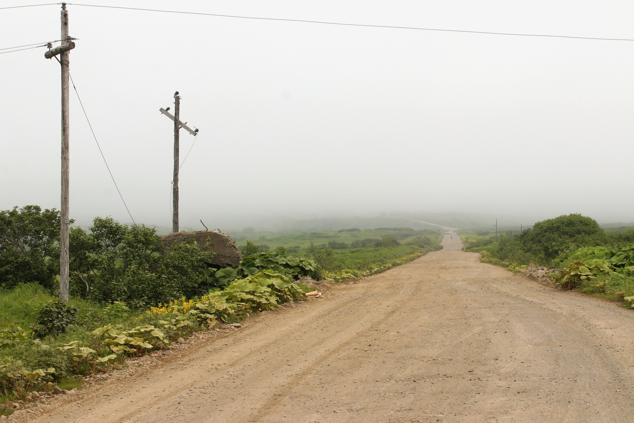 Камчатка и о. Парамушир. Июль 2024. Путешественник-фотограф из Санкт-Петербурга Татьяна Свистулина