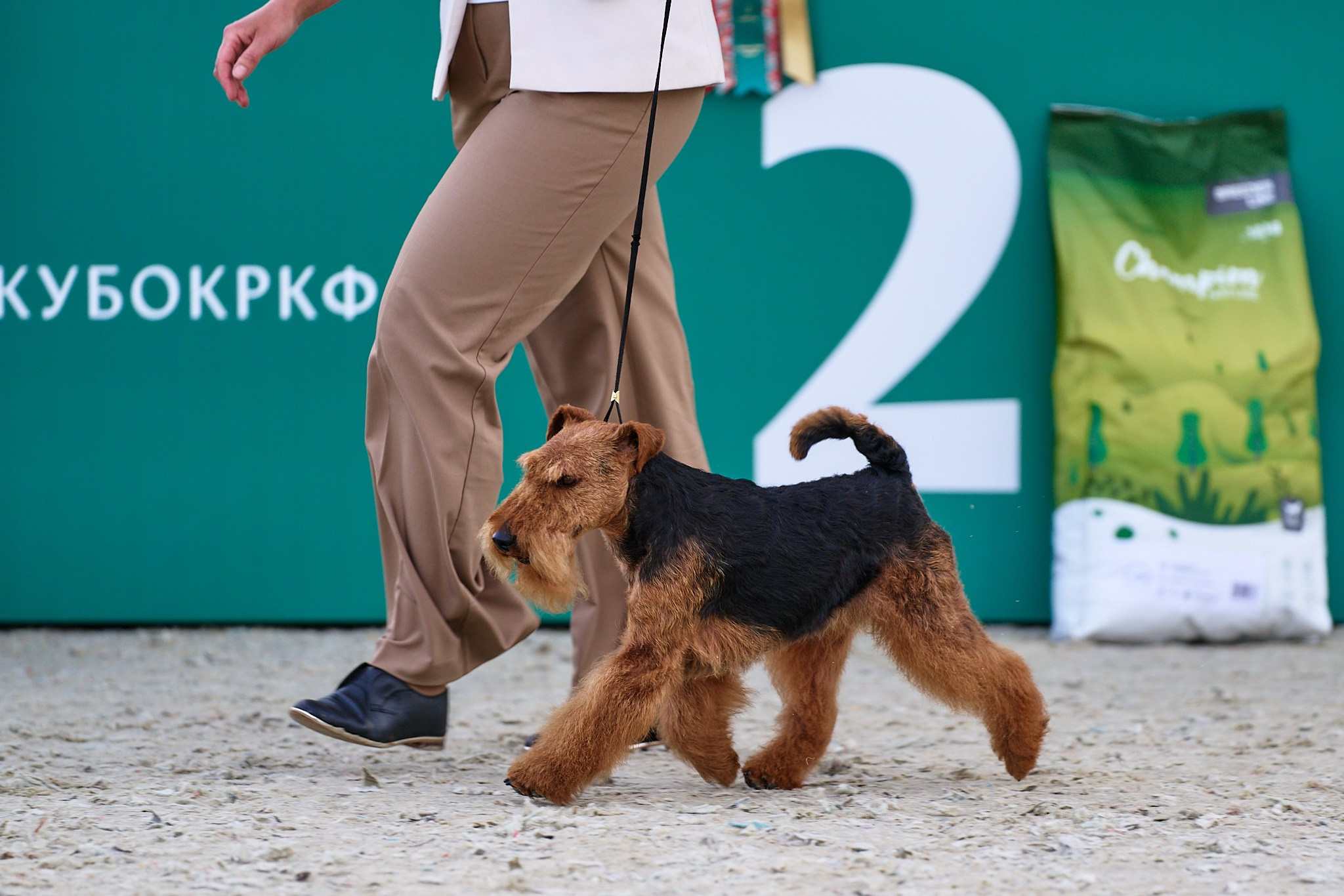 09.06.2024, «РОССИЯ. КУБОК МОСКВЫ 2024 & КУБОК ГОРОДОВ-ГЕРОЕВ»